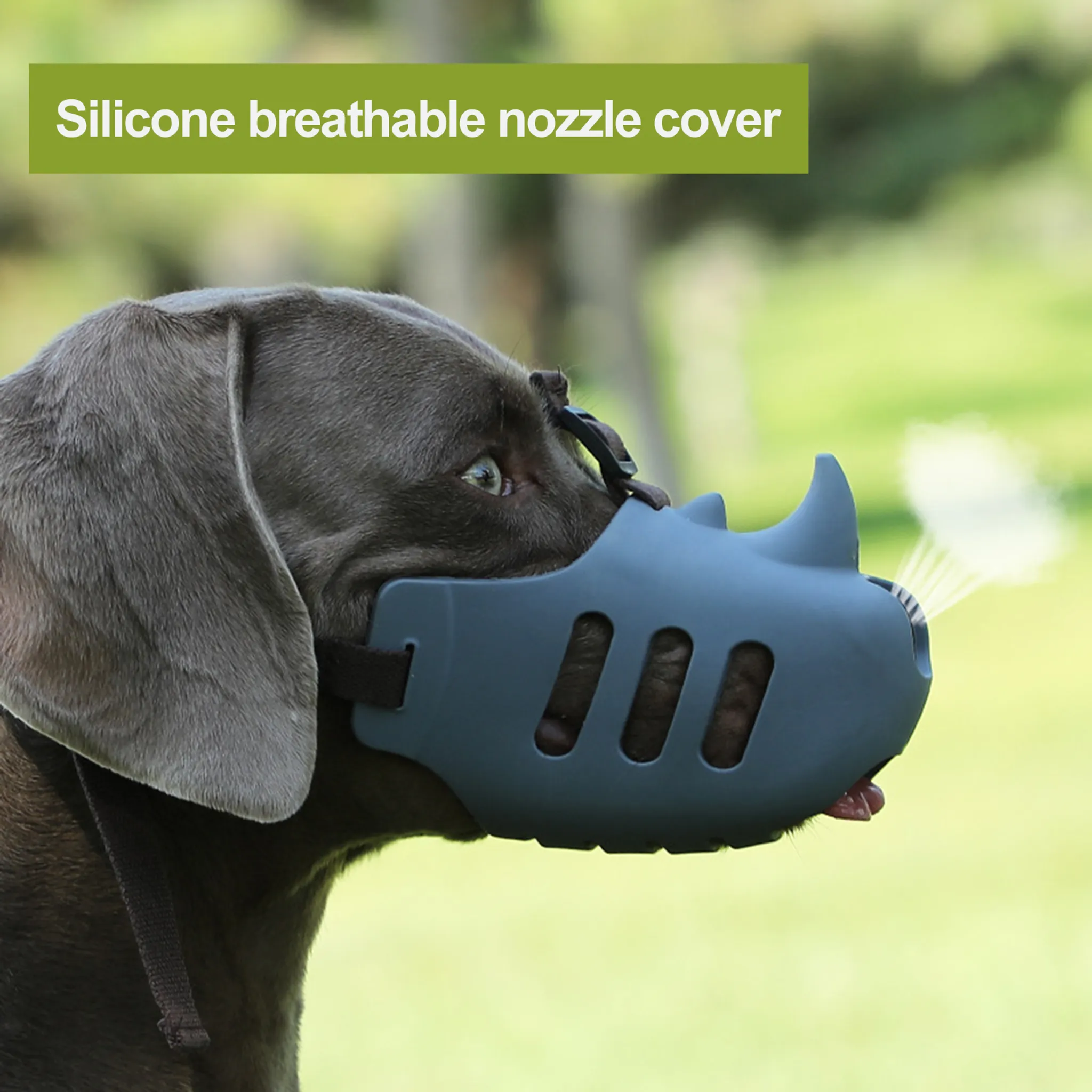 Ein Hund mit blauem Silikonmaulkorb mit Atemlöchern. Der Maulkorb hat eine Nashornhornform, Dampf kommt heraus.