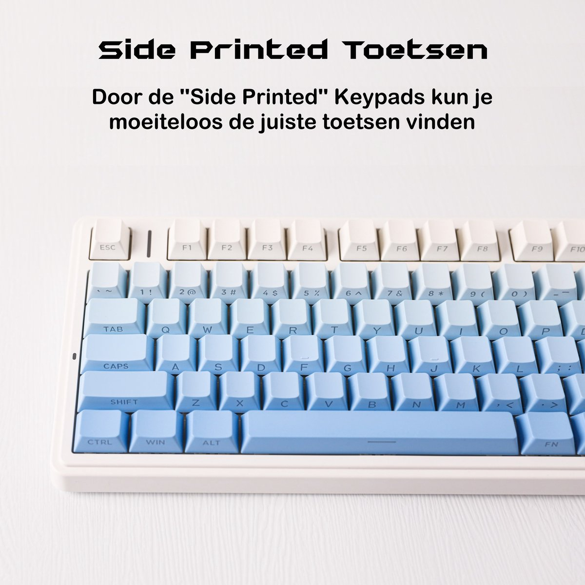 Nahaufnahme einer Tastatur mit weißen und blauen Tasten. Der Text oben lautet 'Side Printed Toetsen'.