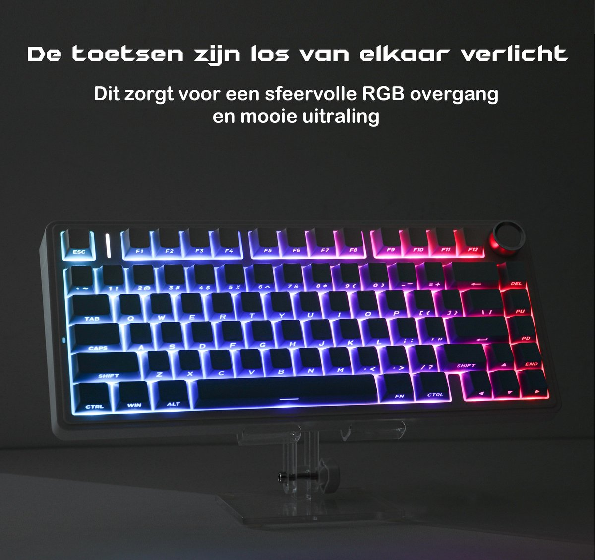 Beleuchtete mechanische Tastatur mit RGB-Beleuchtung. Tasten sind weiß mit blauer, violetter und roter Beleuchtung.