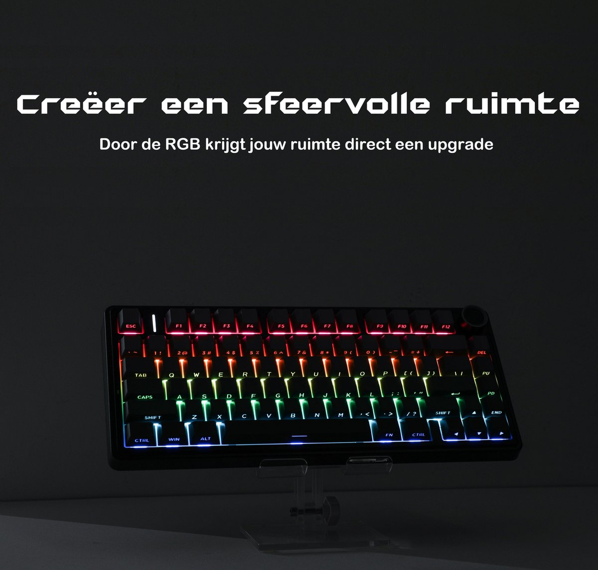 Eine beleuchtete mechanische Tastatur mit RGB-Beleuchtung wird präsentiert. Die Tastatur ist schwarz und steht auf einem transparenten Ständer.