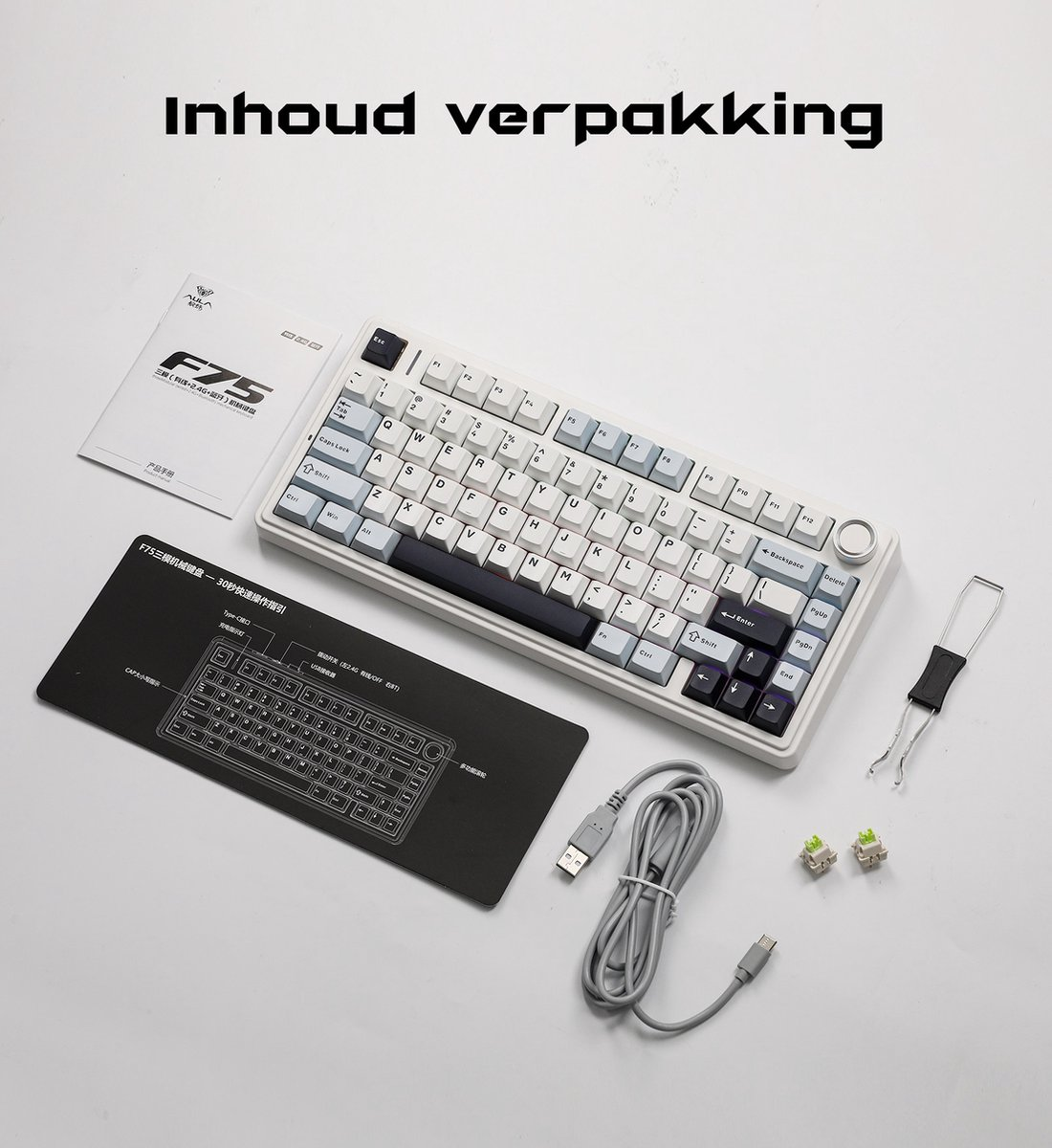 Eine weiße Tastatur mit schwarzen und blauen Tasten befindet sich in der Mitte. Andere Gegenstände sind eine Bedienungsanleitung, ein Mausp