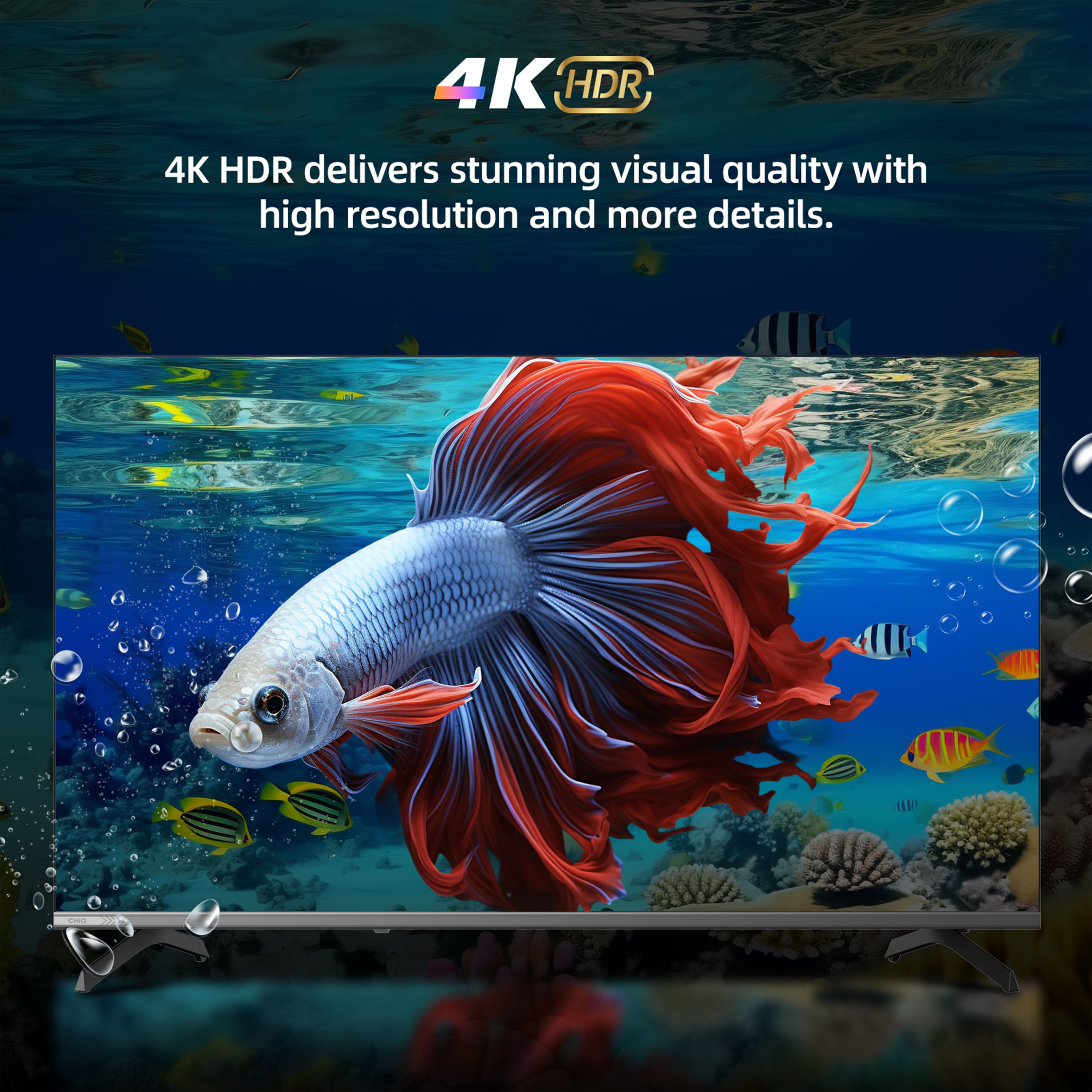 A TV displays a colorful underwater scene with fish and a betta. The screen shows 4K HDR.