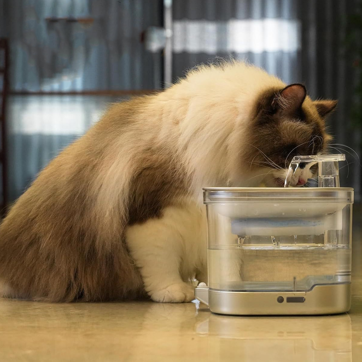 Eine flauschige Katze trinkt Wasser aus einem durchsichtigen, modernen Wasserbrunnen. Die Katze ist braun und weiß, auf einer glänzenden Oberfläche.