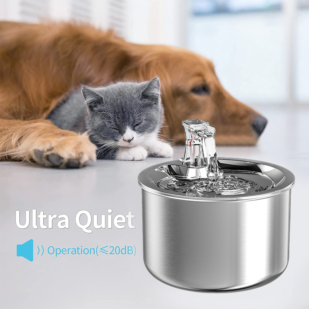Katze und Hund in der Nähe eines Wasserbrunnens. Die Katze ist grau-weiß, der Hund braun. Der Brunnen ist metallisch.
