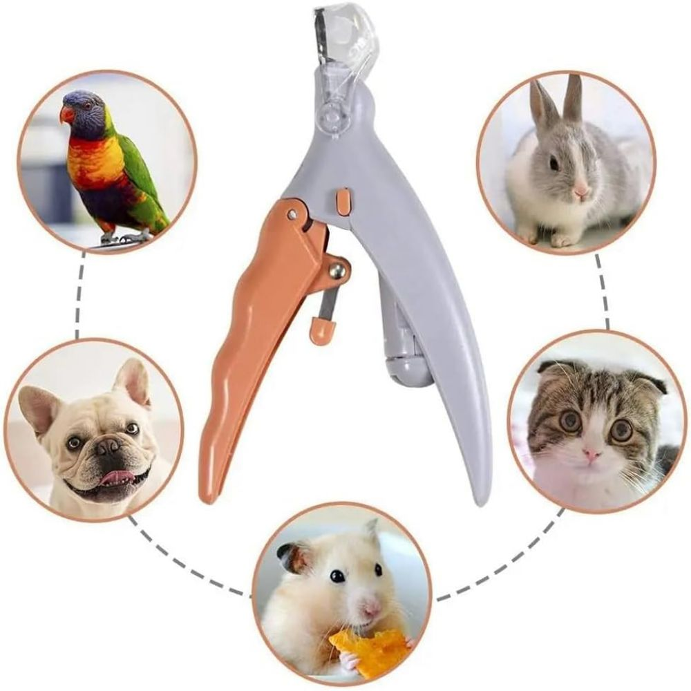 Eine Haustiernagelknipse ist von Bildern eines Papageis, Hundes, Kaninchens, Katze und Hamsters umgeben.