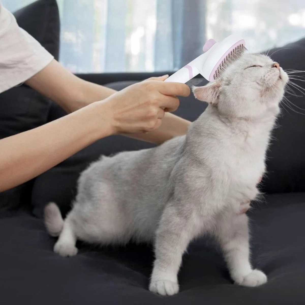 Eine Person bürstet eine graue Katze mit einer weißen und rosa Bürste. Die Katze sitzt auf einem schwarzen Sofa. Die Katze hat die Augen geschlossen.