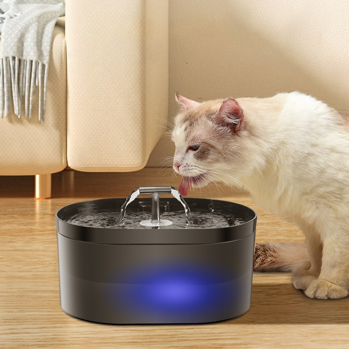 Eine Katze trinkt Wasser aus einem schwarzen Haustierbrunnen. Die Katze hat weißes und braunes Fell. Im Hintergrund sind ein Sofa und eine Decke zu sehen.