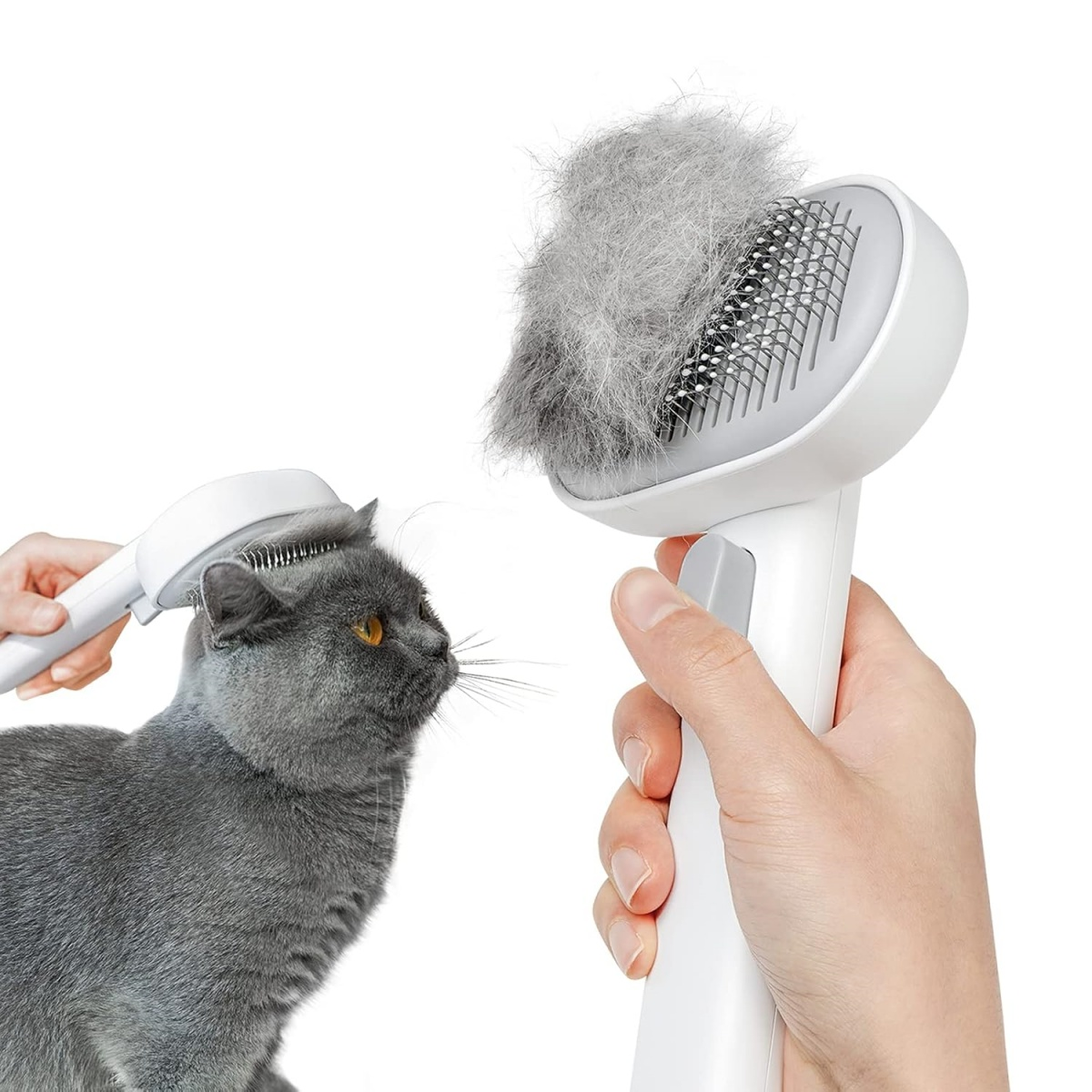 Eine graue Katze wird mit einer weißen Bürste gepflegt. Eine Bürste hat eine große Menge Katzenfell gesammelt.