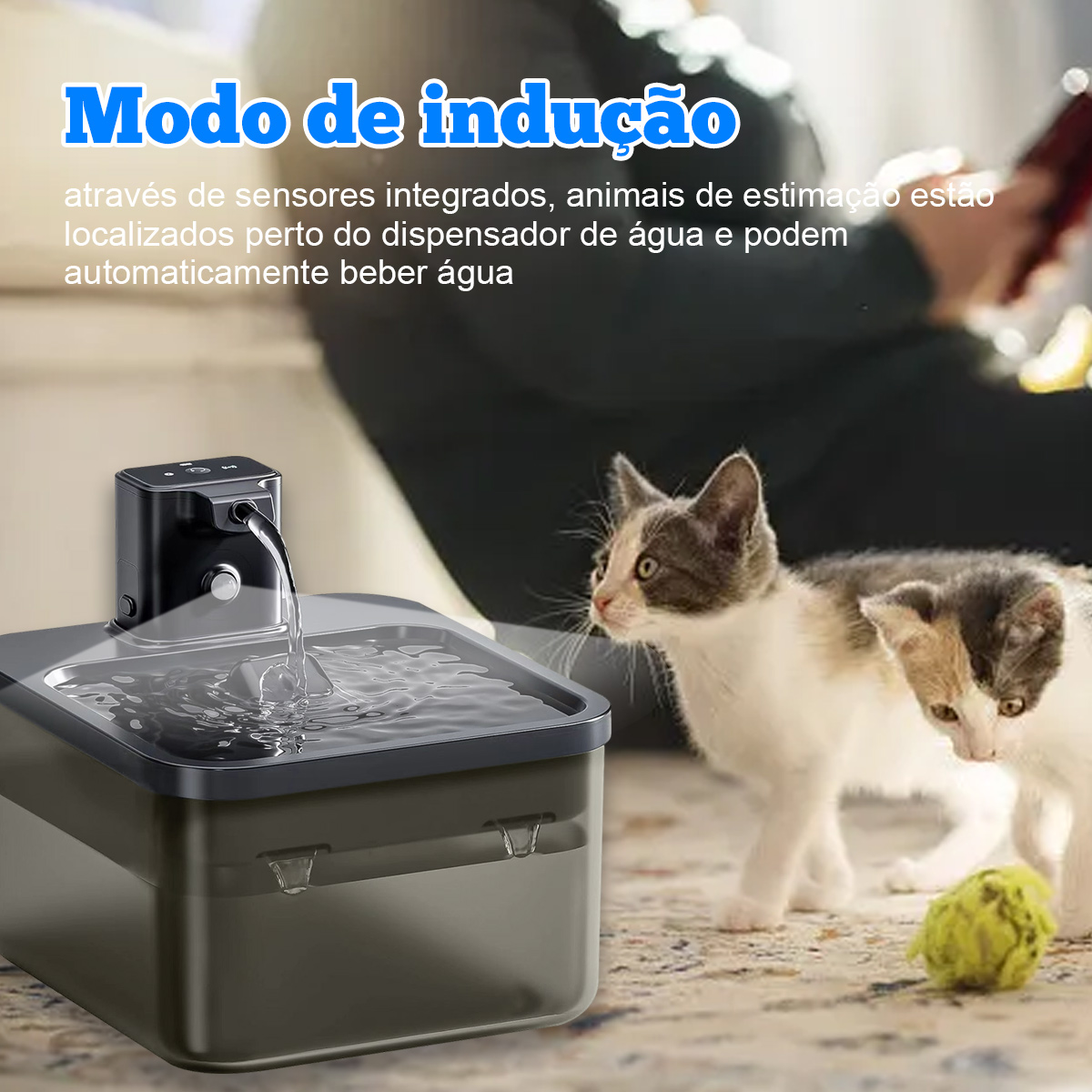 Ein Wasserspender mit fließendem Wasser, zwei Katzen und ein grüner Ball befinden sich in der Szene. Der Spender ist schwarz und grau.