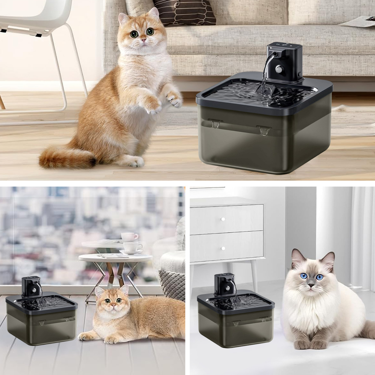 Eine Katze steht neben einem Wasserbrunnen. Eine andere Katze liegt in der Nähe eines anderen Brunnens. Eine dritte Katze sitzt neben einem Brunnen.