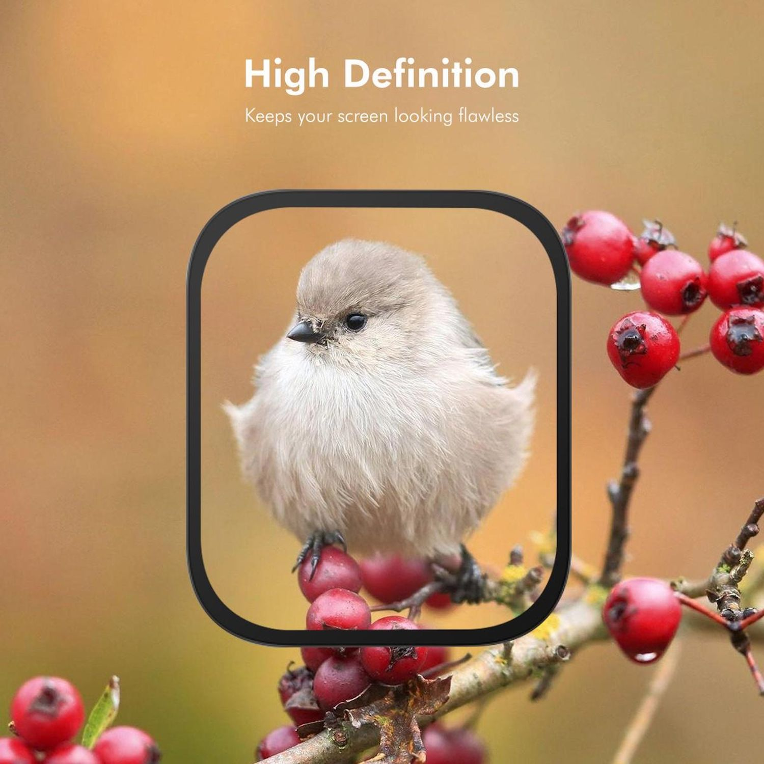 Ein kleiner Vogel mit weißen Federn sitzt auf einem Ast mit roten Beeren. Der Hintergrund ist orange und grün verschwommen.