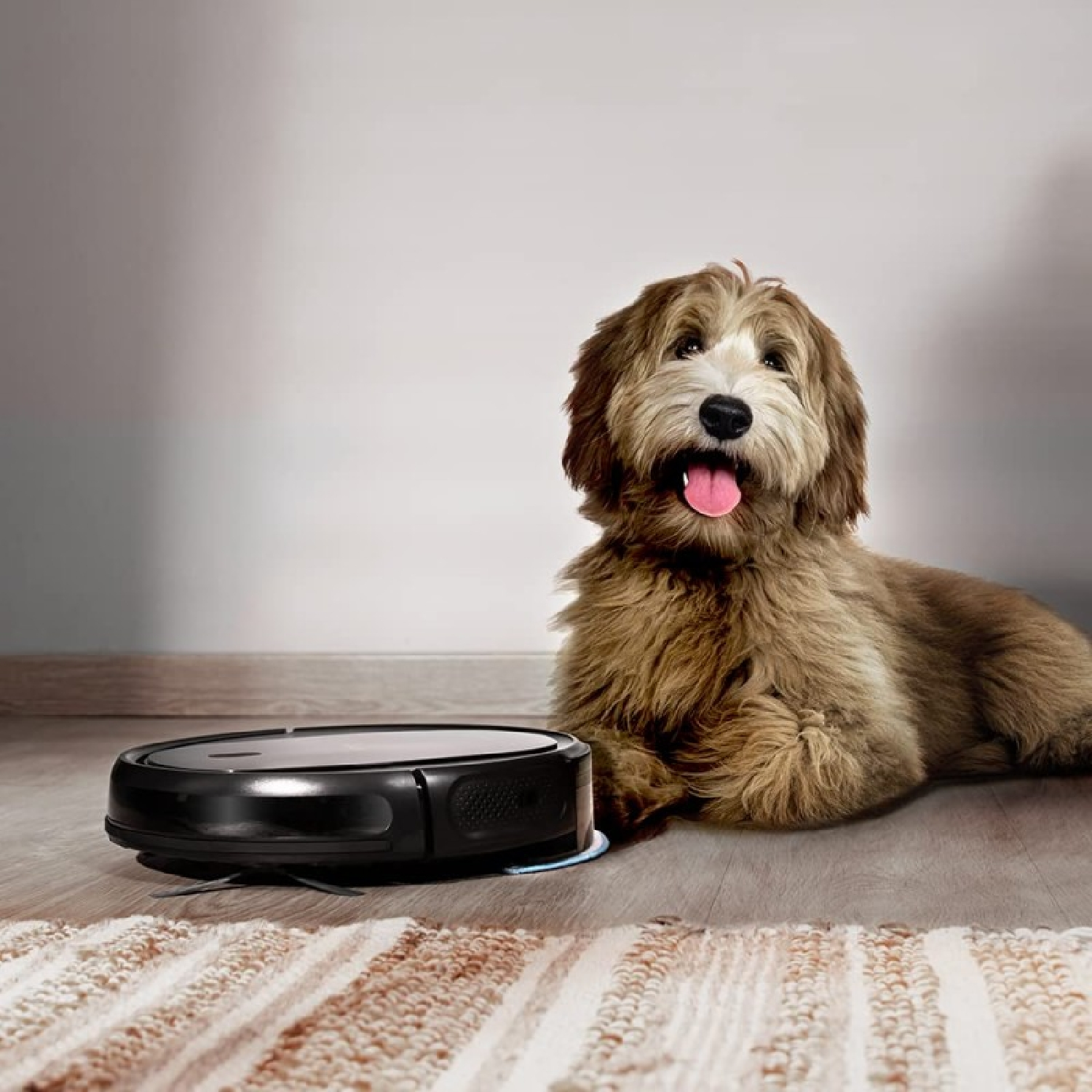Un cane soffice è sdraiato accanto a un aspirapolvere robot nero su un pavimento di legno. Il cane ha la lingua di fuori.