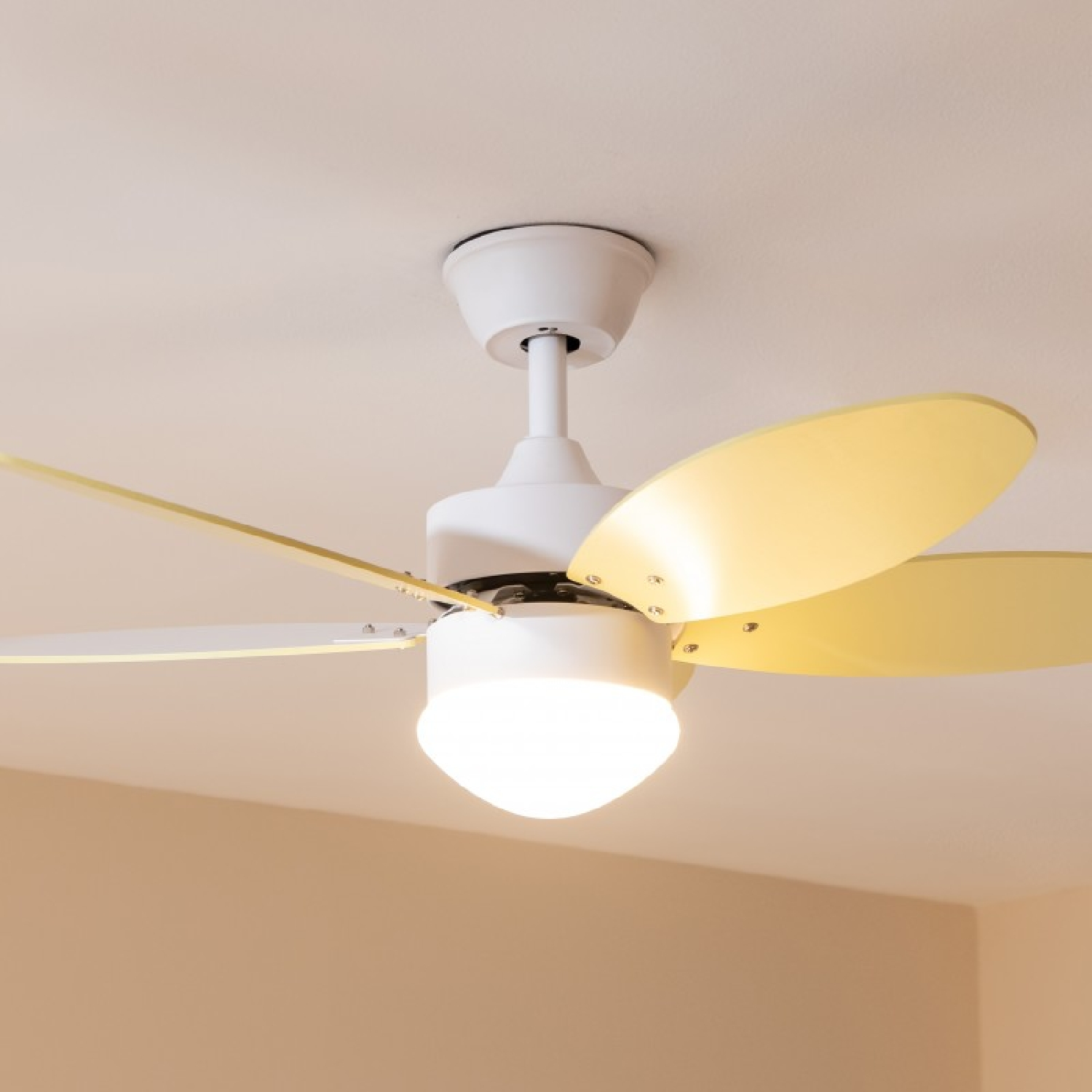 Un ventilatore da soffitto bianco con pale gialle e un'apparecchio di illuminazione. È montato su un soffitto bianco, con pareti beige sotto.