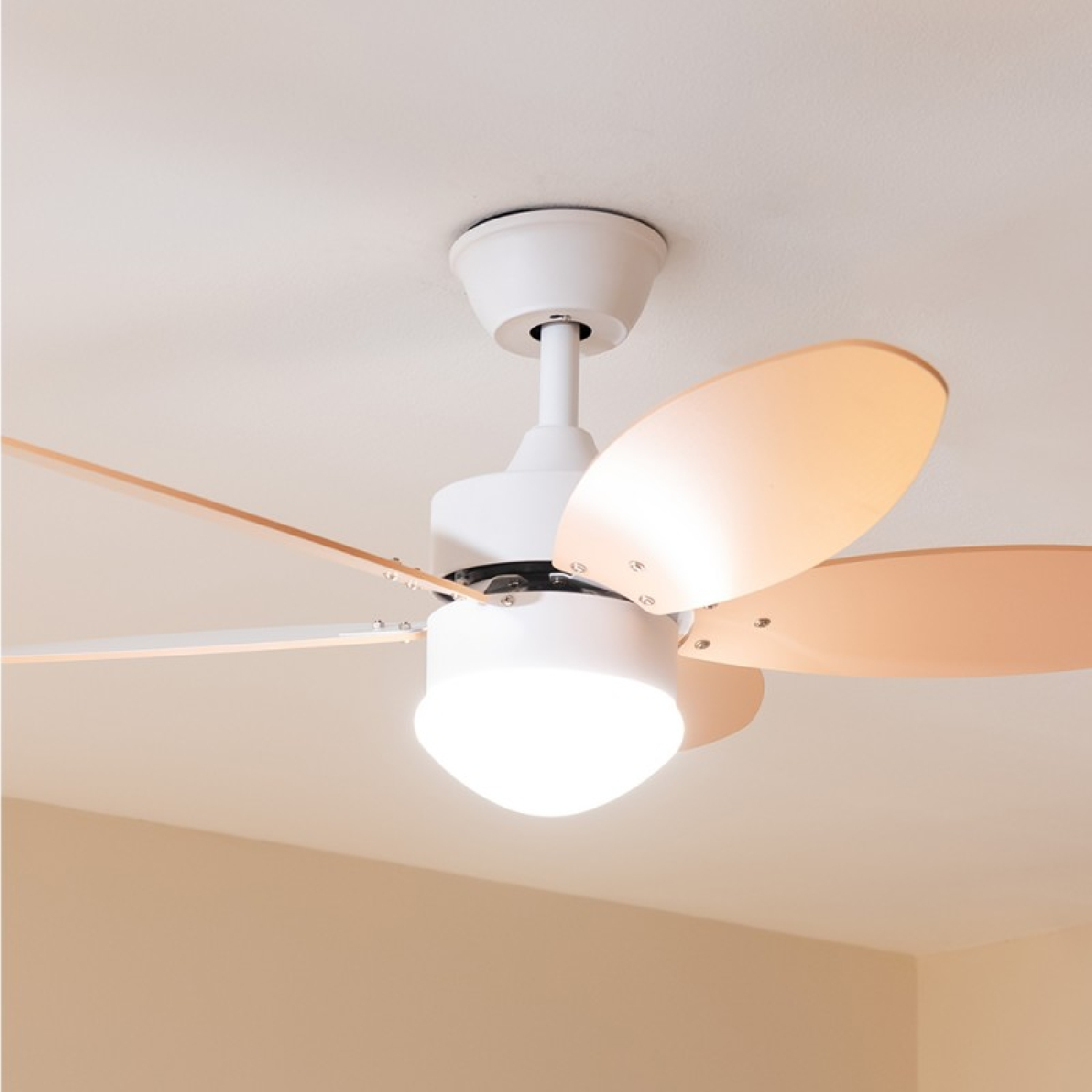 Un ventilatore da soffitto bianco con pale colorate chiare e un apparecchio di illuminazione appeso a un soffitto bianco.