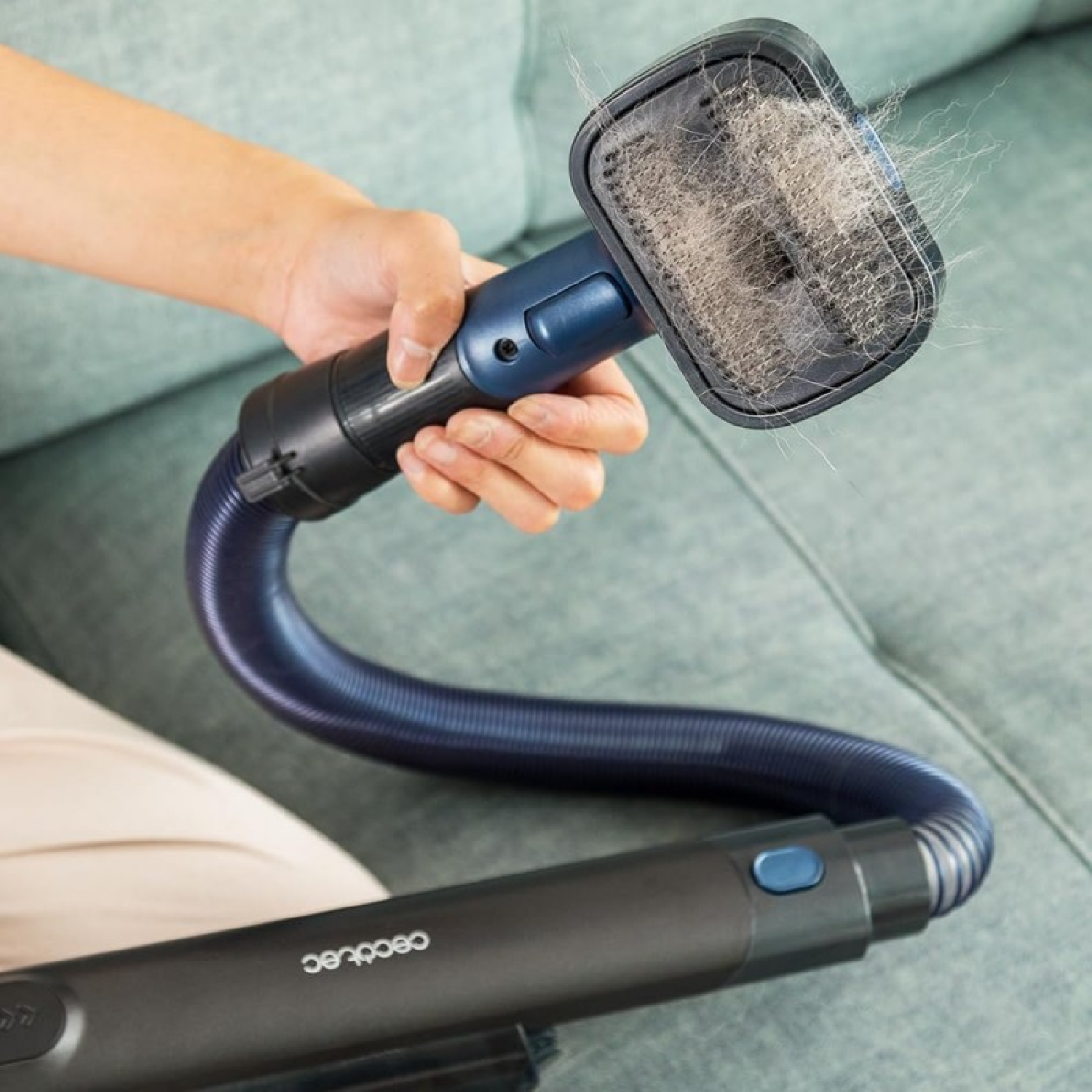 Una persona tiene in mano un accessorio per aspirapolvere pieno di peli di animali domestici. Un tubo blu si collega a un'aspirapolvere nera. Sullo sfondo c'è un divano verde.