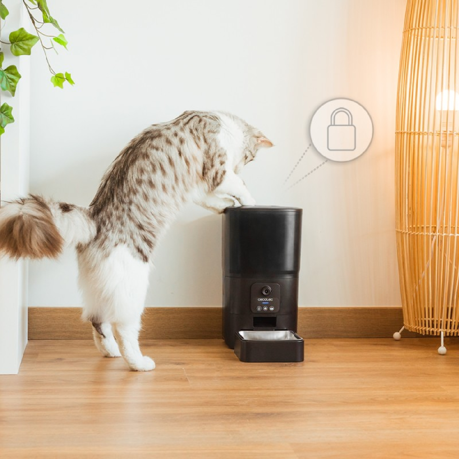Un gatto cerca di raggiungere un alimentatore per animali nero. C'è un'icona a forma di lucchetto sopra. Sono presenti una lampada intrecciata e un pavimento in legno.