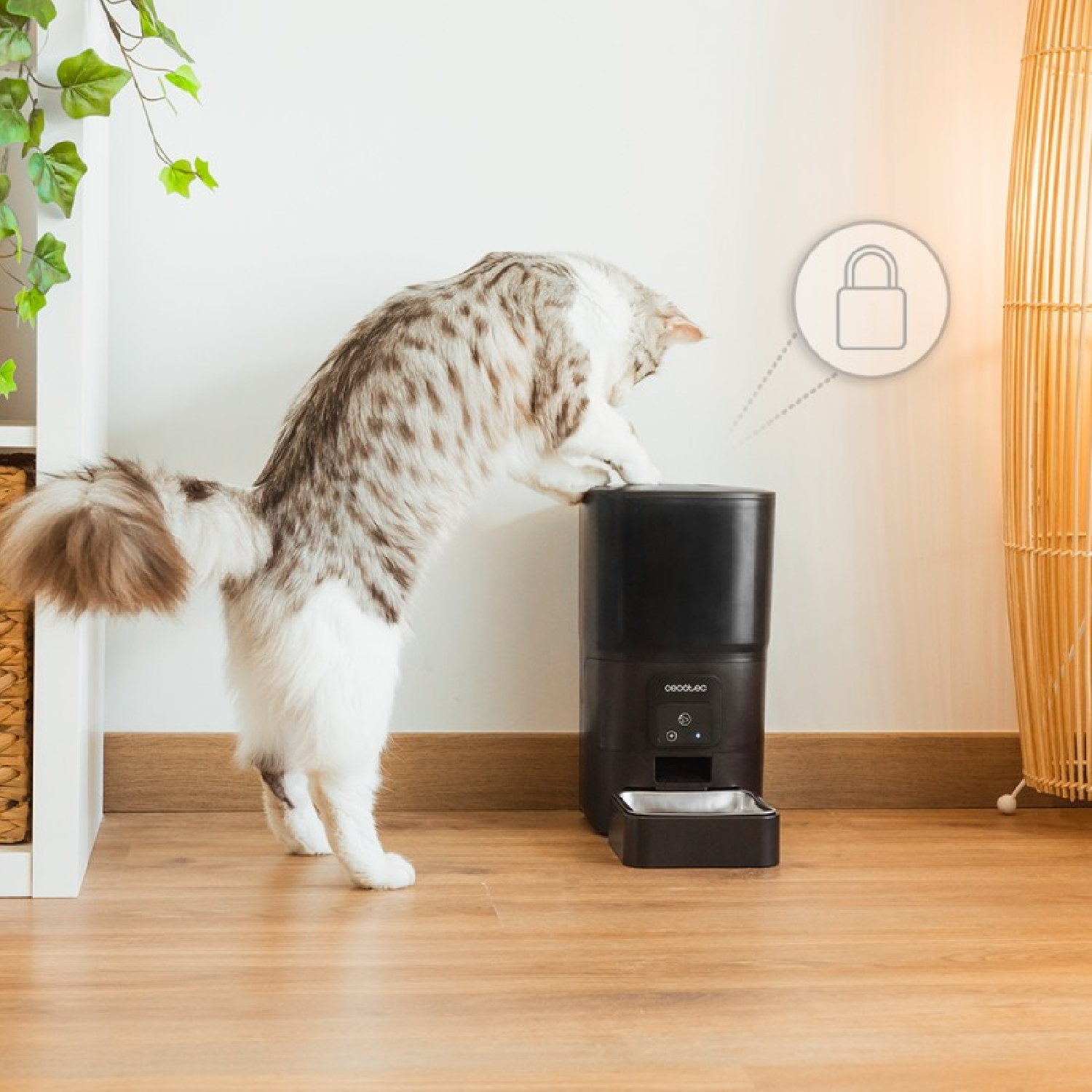 Un gato intenta alcanzar un comedero negro para mascotas. El comedero está en un suelo de madera, cerca de una pared blanca y una lámpara de mimbre.