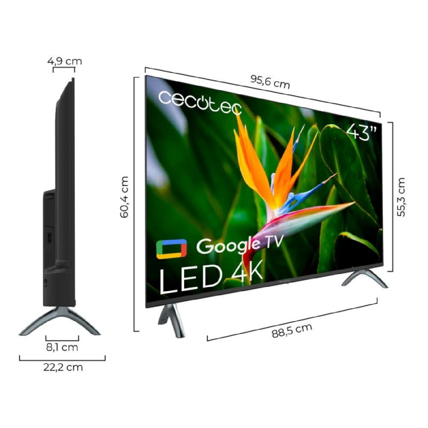 Un televisore Cecotec LED 4K Google TV da 43 pollici. Dimensioni: 95,6 cm larghezza, 60,4 cm altezza, 4,9 cm profondità. Fiore.