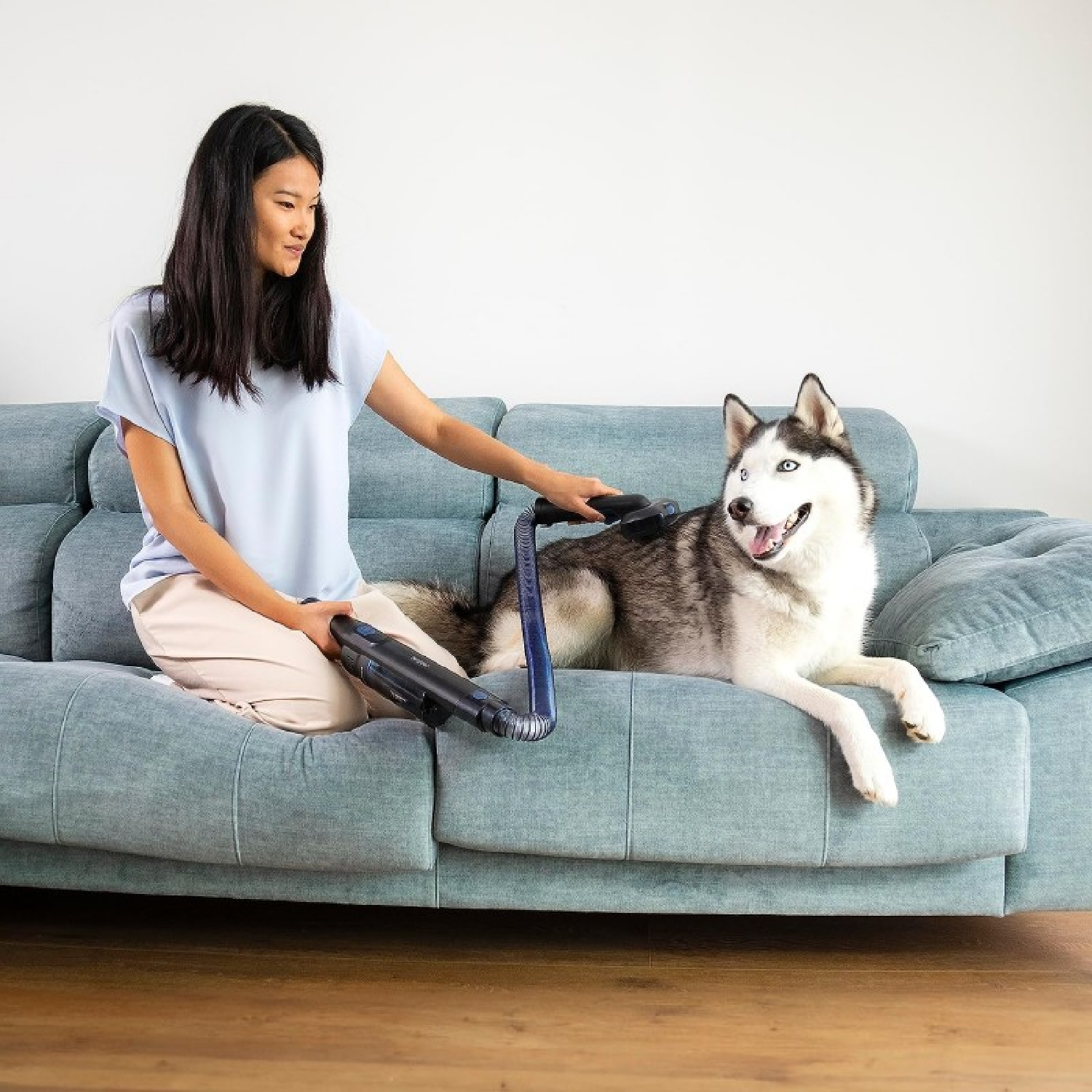 Una donna su un divano blu pulisce un husky con un aspirapolvere. Il cane è bianco e grigio con occhi blu.