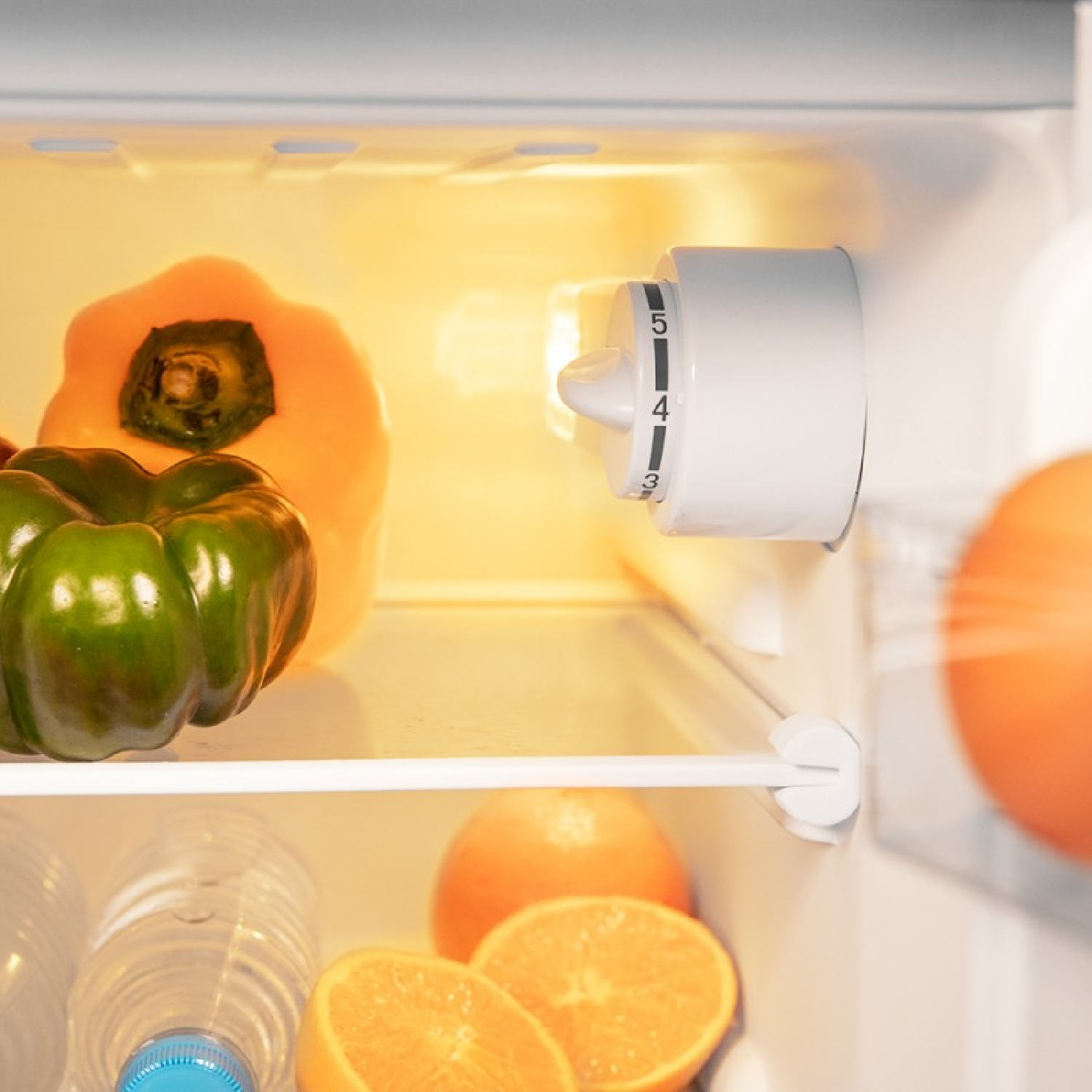 Wewnątrz lodówki: żółte i zielone papryki, pomarańcze, butelki wody i pokrętło regulacji temperatury.