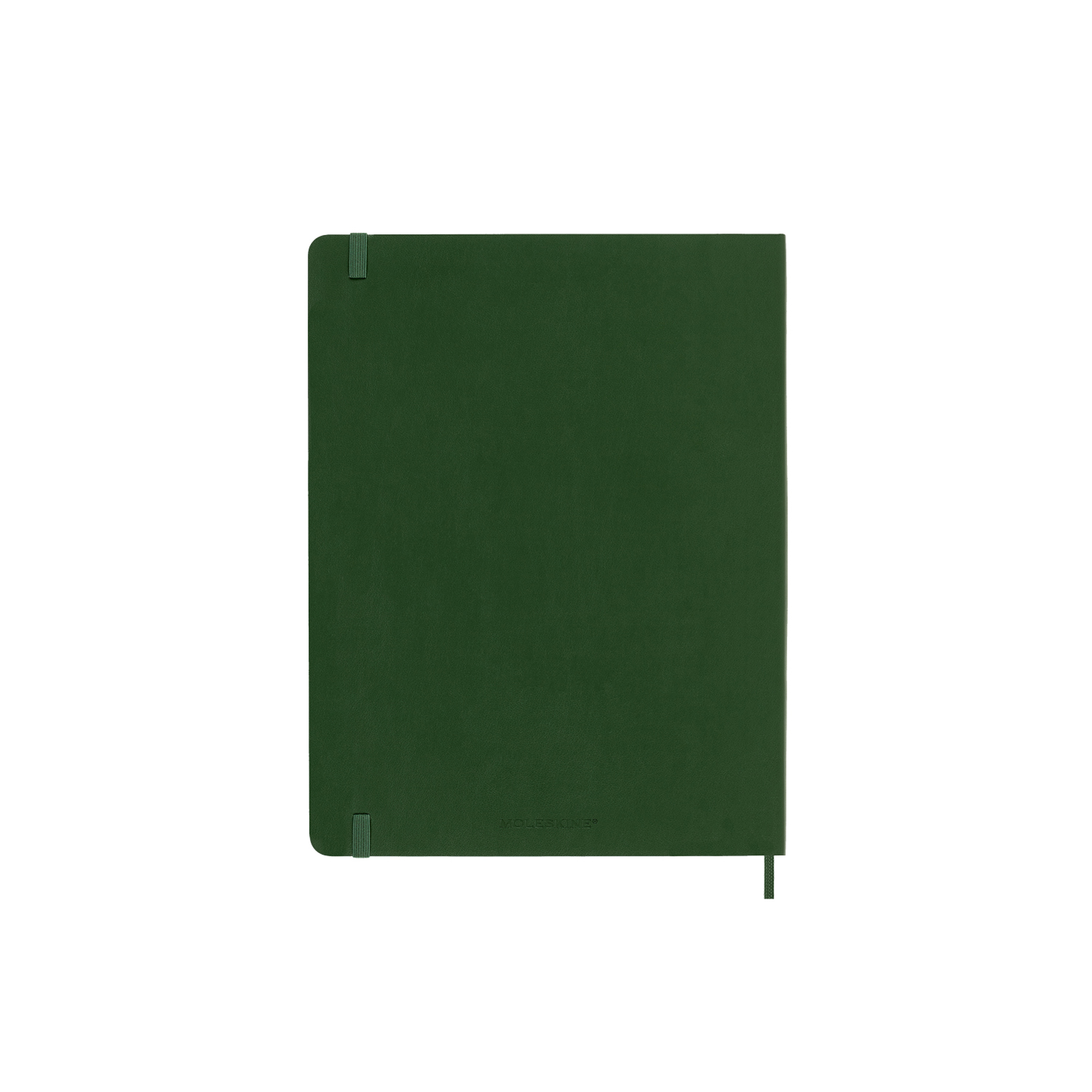 Ein grünes Moleskine-Notizbuch auf weißem Hintergrund. Es hat ein Leseband und einen elastischen Verschluss.