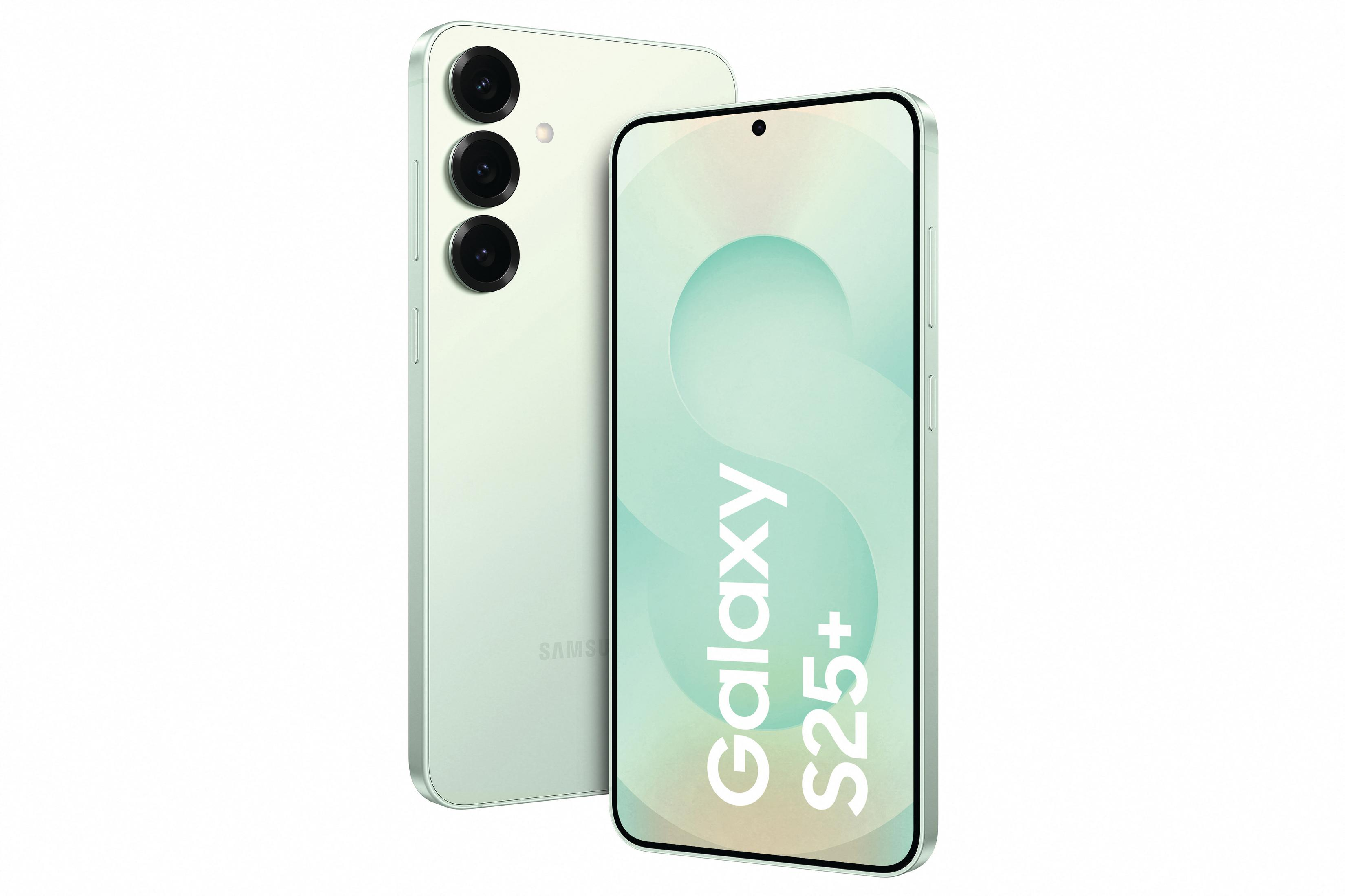 Smartfon SAMSUNG Galaxy S25+ 4G (LTE), 5G 12 GB/ 256 GB Miętowy
