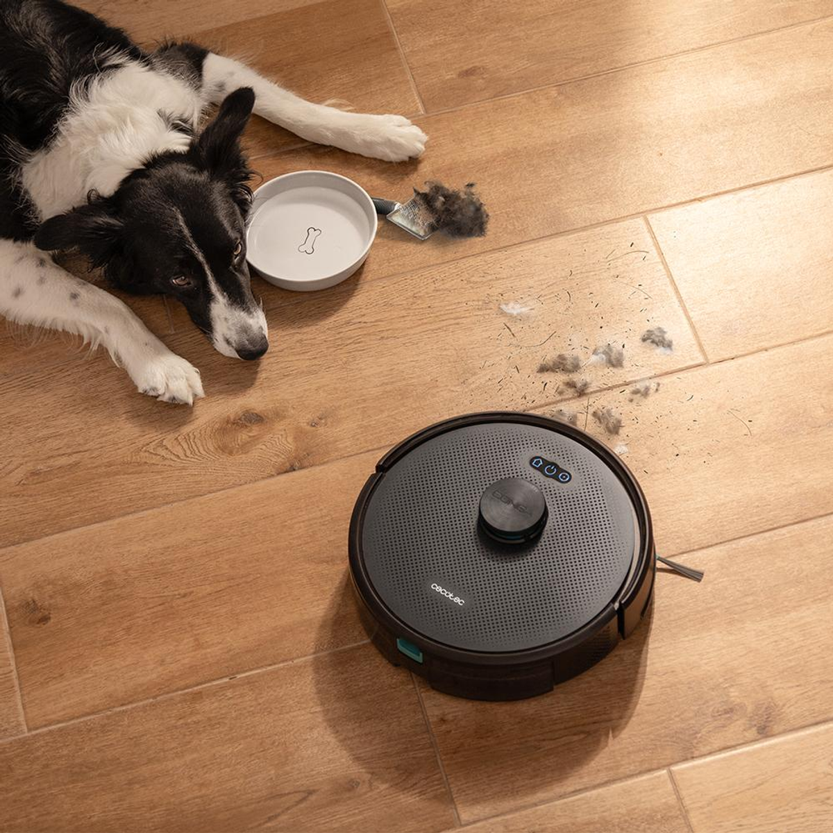 Un cane giace sul pavimento in legno vicino a una ciotola e un aspirapolvere robotico. I peli sono sparsi sul pavimento.
