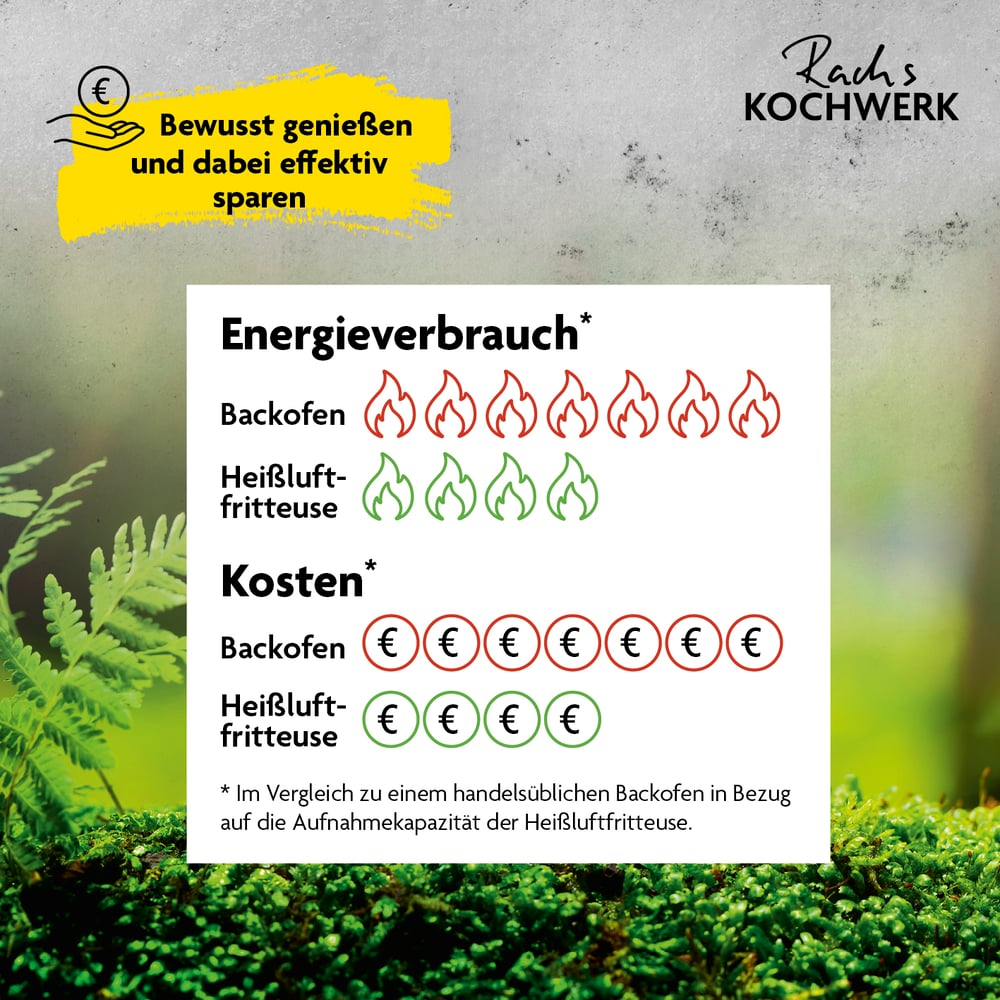 Infografik, die Energieverbrauch und Kosten von Backofen und Airfryer vergleicht. Rote Flammen und Euros für Backofen, grüne für Airfryer.