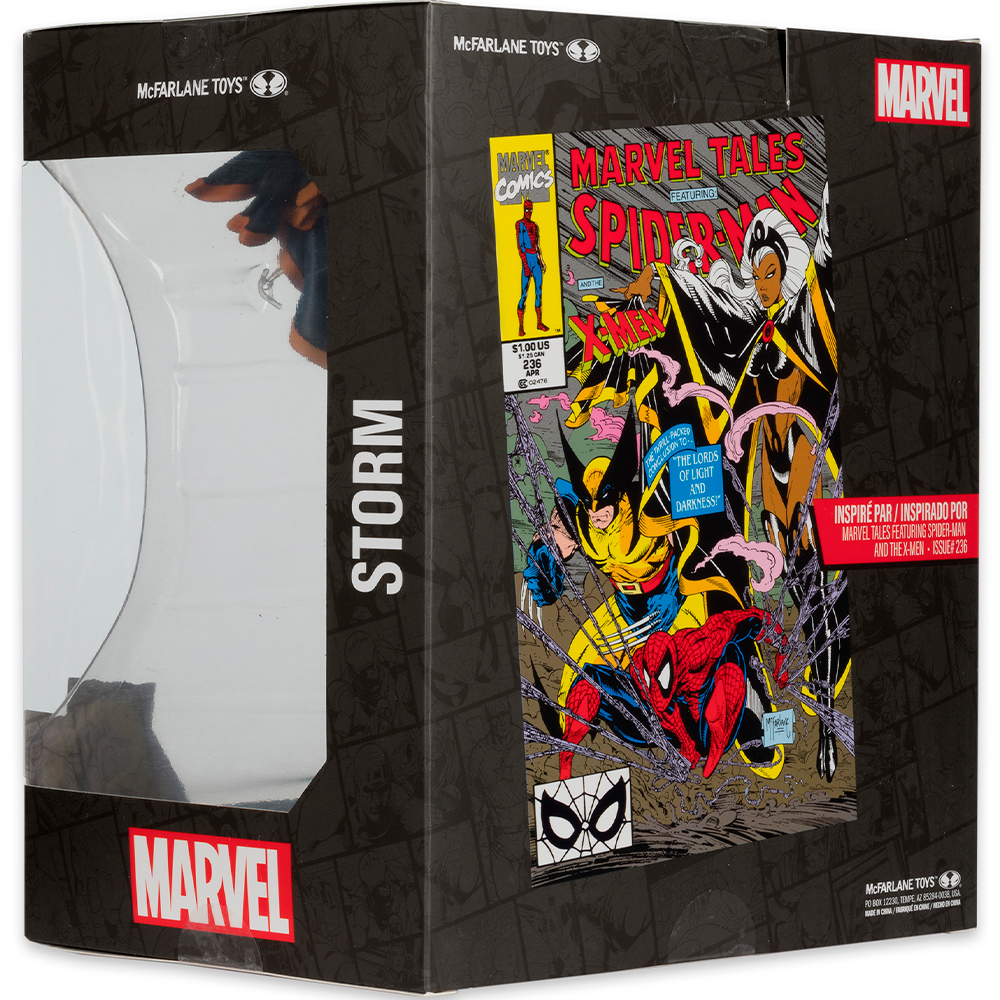 Eine Marvel Storm-Actionfigur-Box. Die Box hat Comic-Kunst mit Spider-Man, Wolverine und Storm.