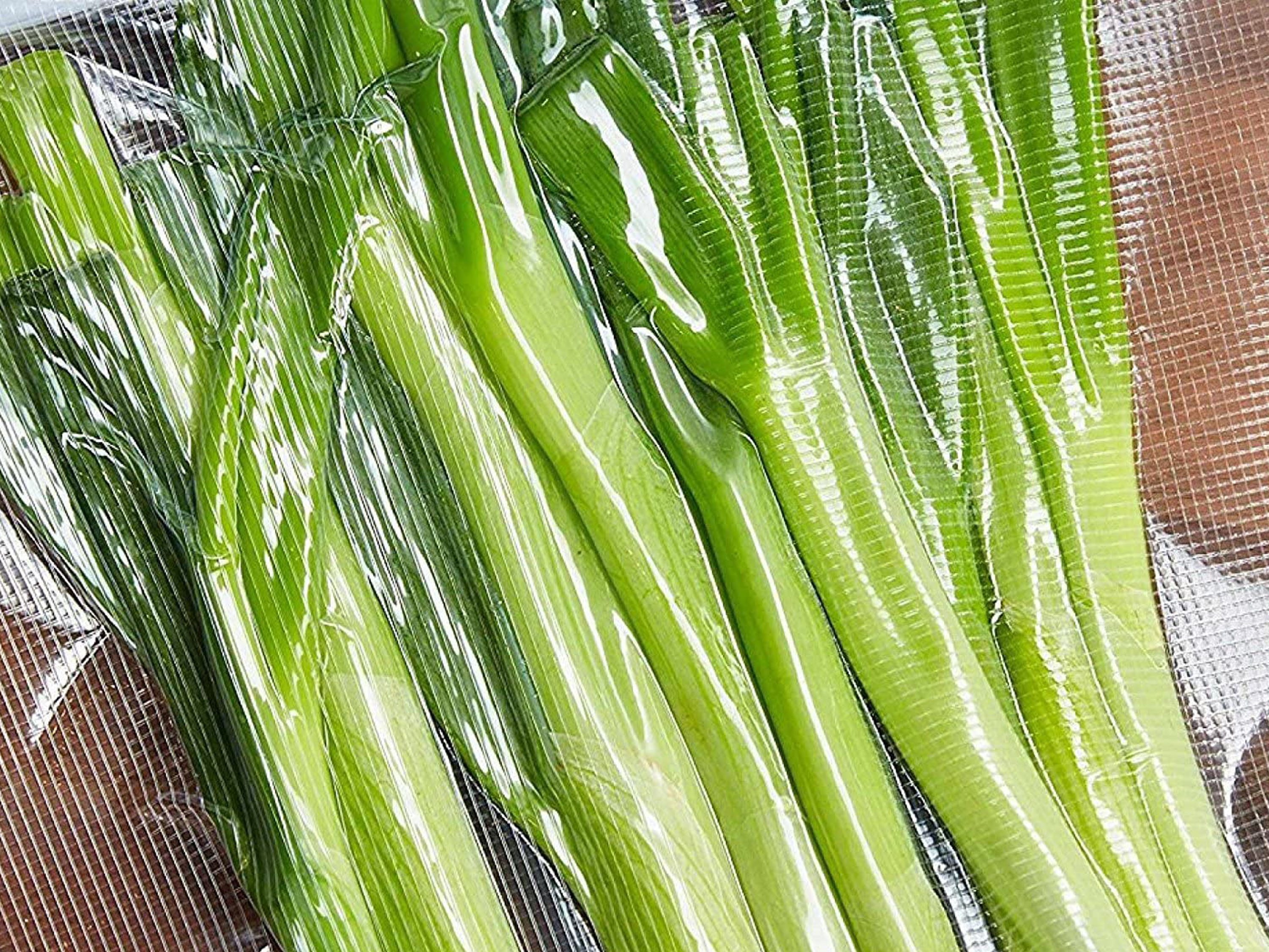 Cipollotti verdi, ben confezionati, sigillati in plastica trasparente. La plastica riflette la luce.