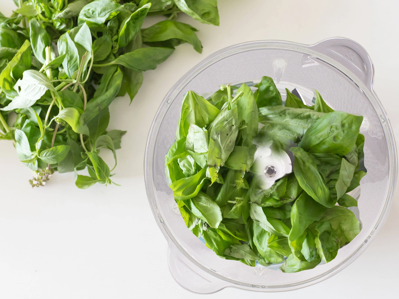 Foglie di basilico verde fresco in un robot da cucina e un mucchio di basilico su una superficie bianca, pronto per cucinare.