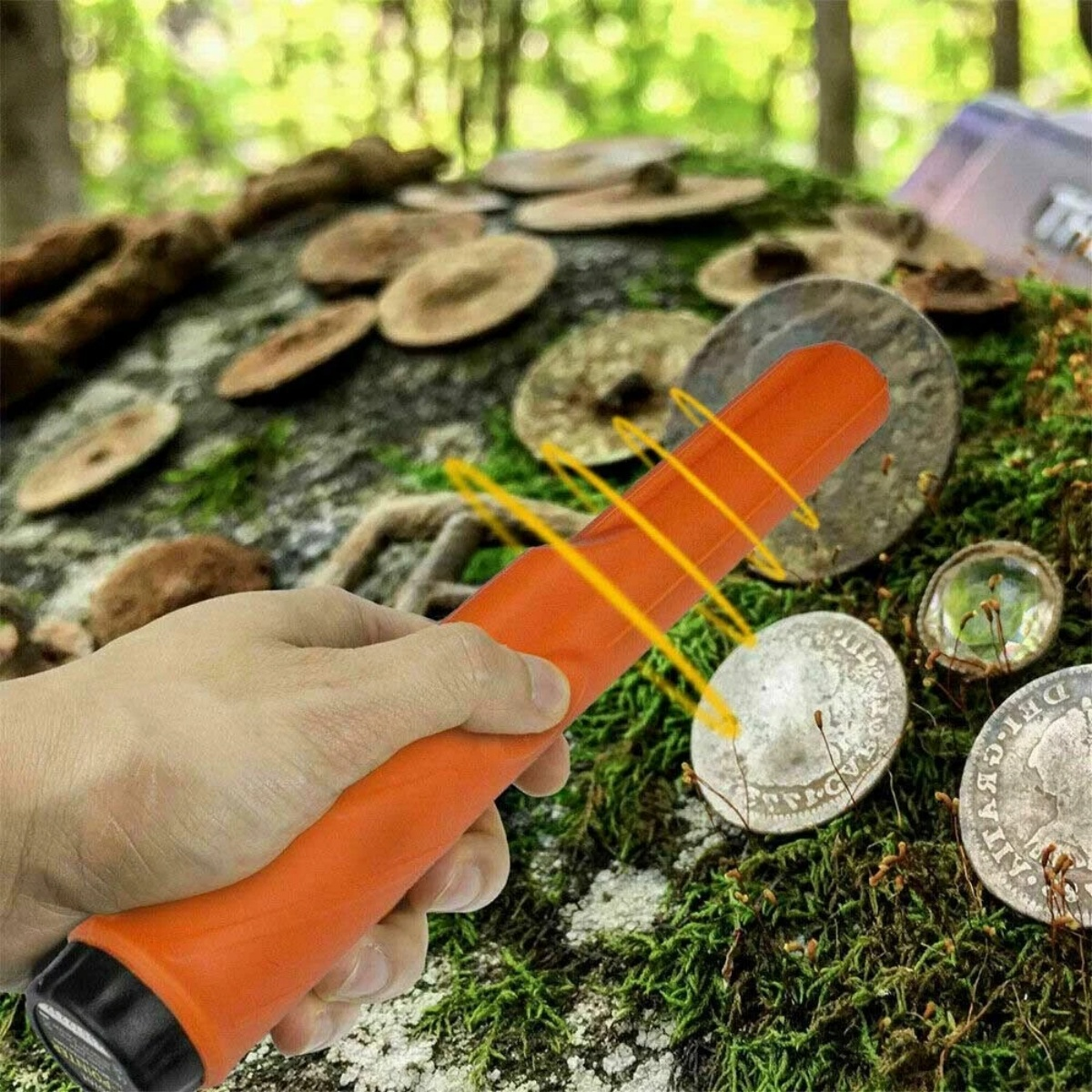 Hand hält einen orangefarbenen Metalldetektor. Münzen und Waldboden. Gelbe Linien zeigen die Erkennung an. Moos bedeckt den Boden.