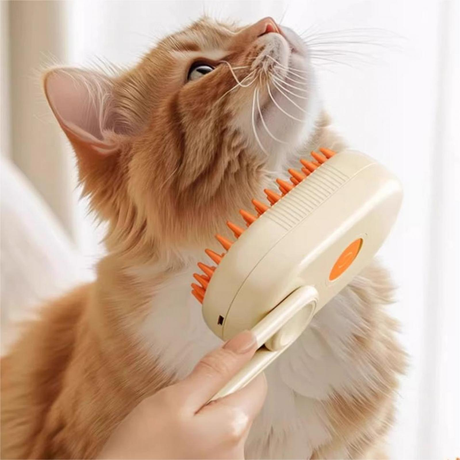 Eine Ingwerkatze, die mit einer cremefarbenen und orangefarbenen Katzenbürste gebürstet wird. Die Katze schaut nach oben.