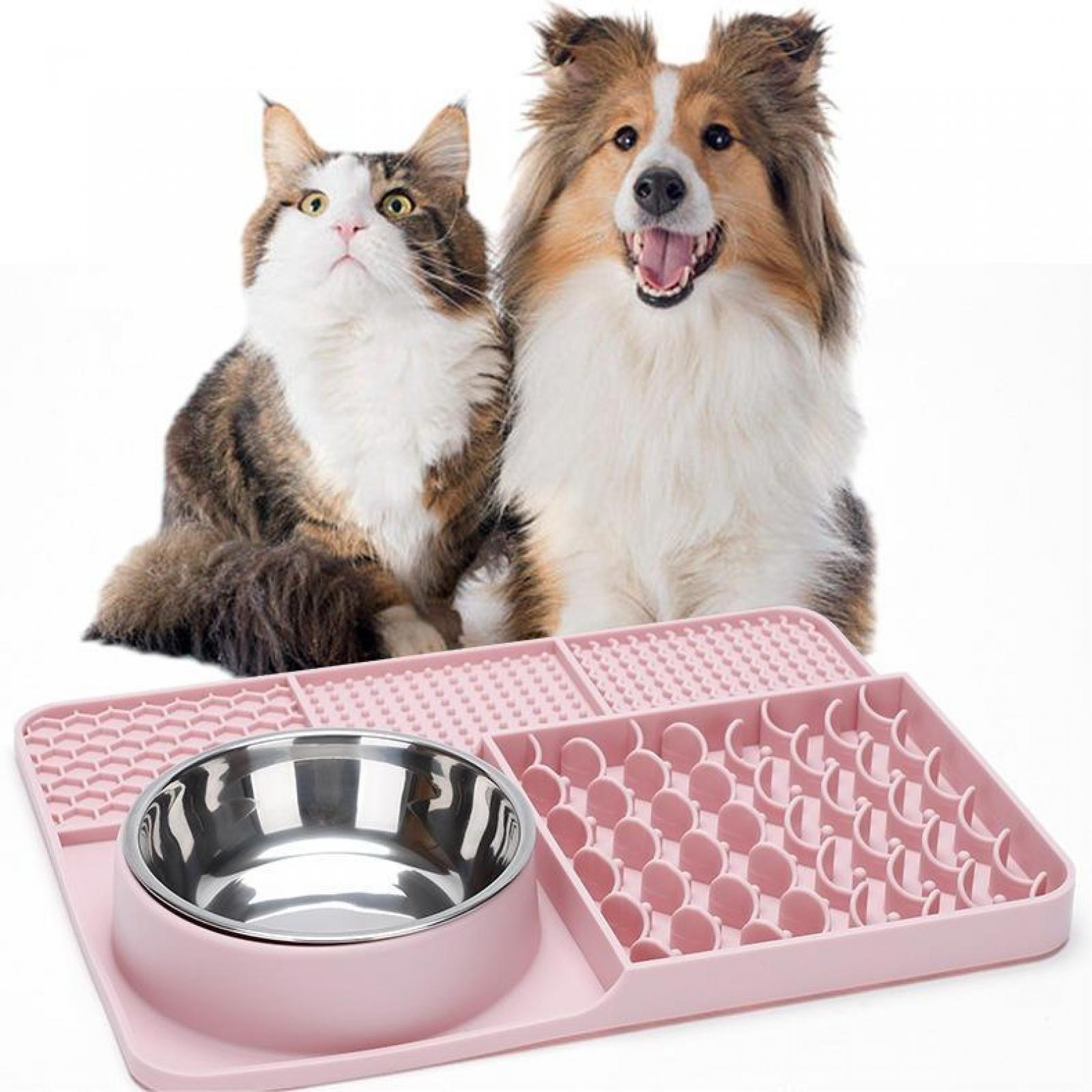 Katze und Hund sitzen über einer rosa Matte mit einer Stahlschüssel und einem langsamen Fütterer.