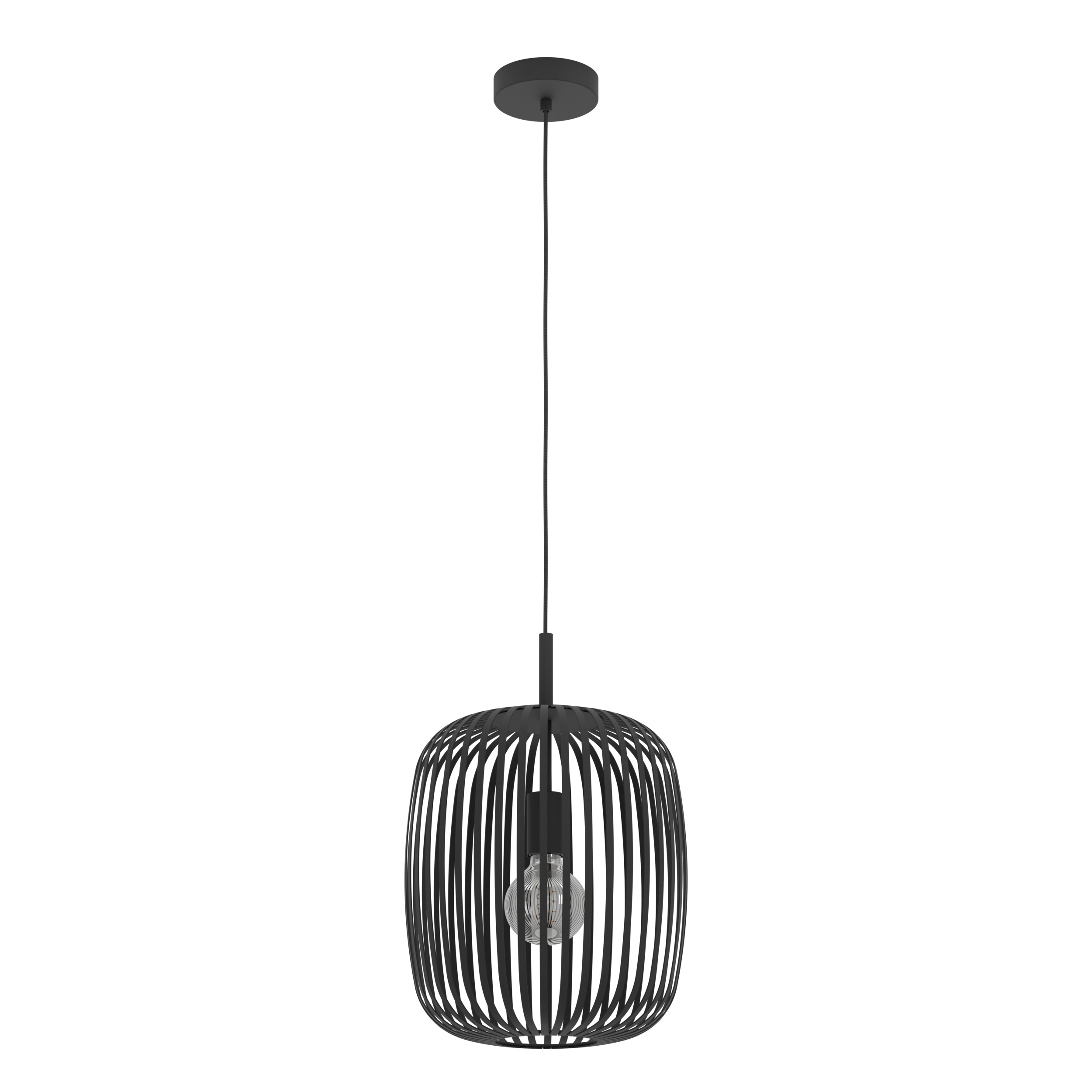 Een zwarte hanglamp met een kooi-achtige lampenkap hangt aan het plafond. Een gloeilamp is zichtbaar in de kap.