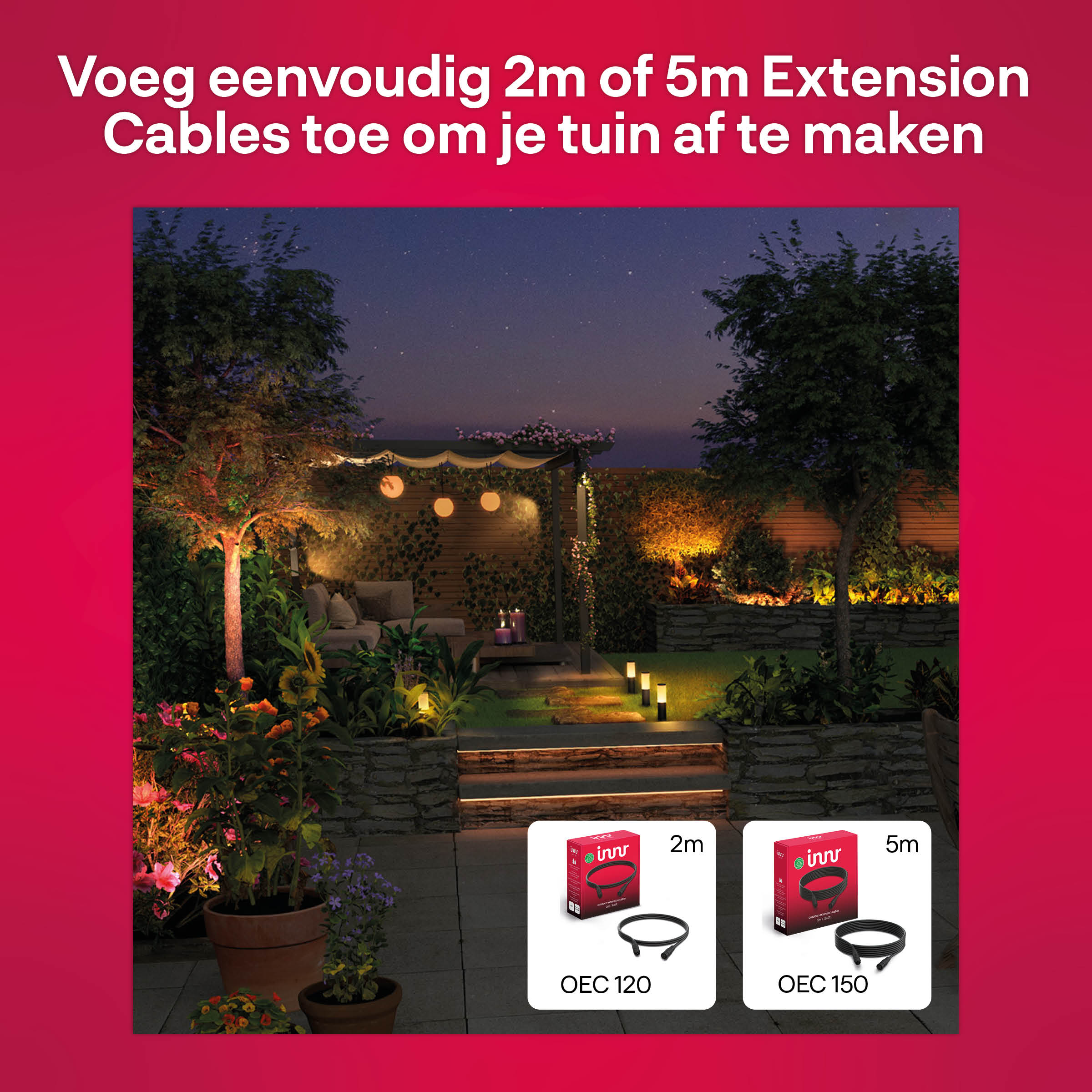 A night scene of a garden with lights, trees, and extension cables.