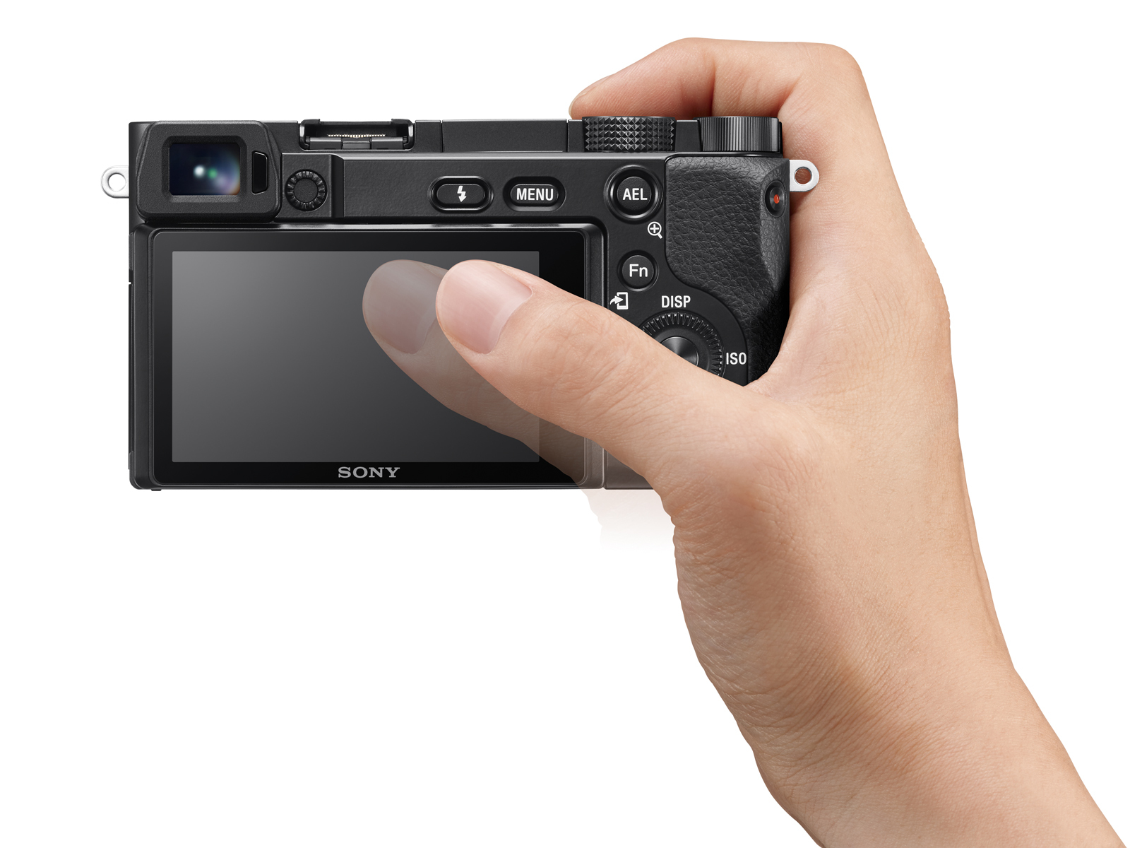 Eine Hand hält eine schwarze Sony-Kamera. Ein Finger berührt den Bildschirm. Knöpfe sind sichtbar. Weißer Hintergrund.
