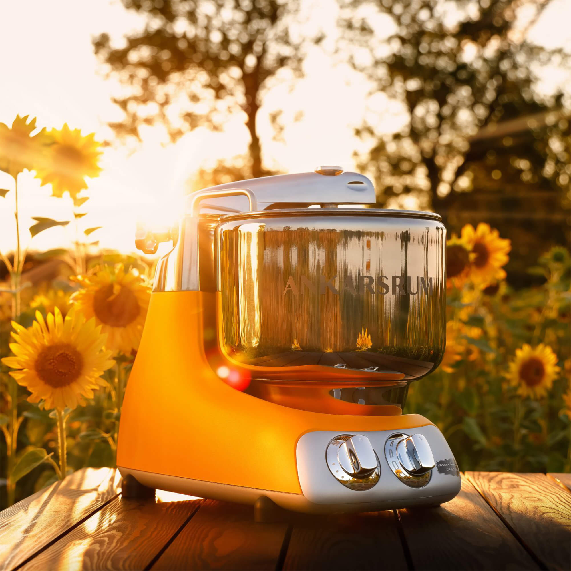 Ein orangefarbener Küchenmixer auf einem Holztisch mit Sonnenblumen im Hintergrund, beleuchtet von Sonnenlicht.
