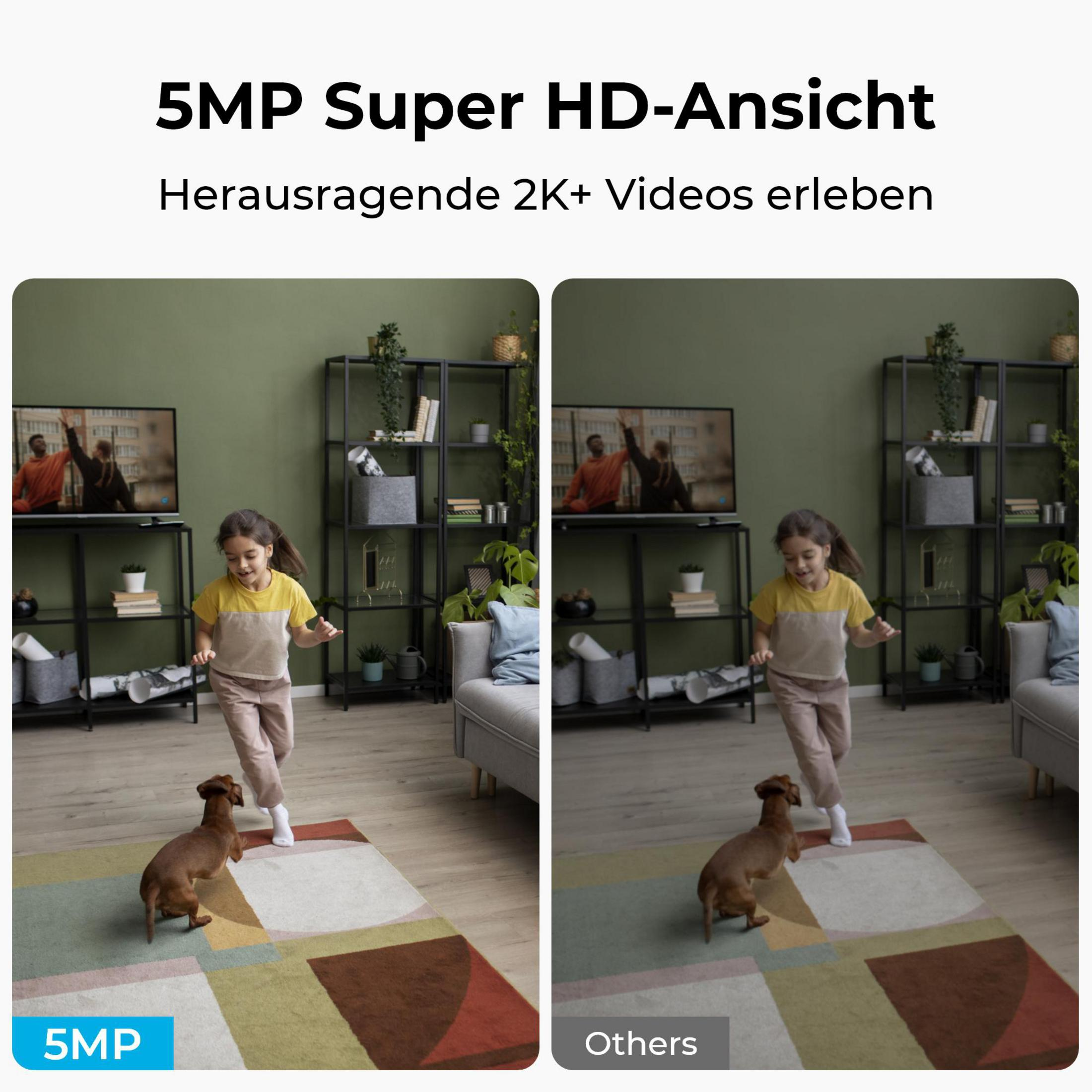 Dziewczyna biegnie w kierunku jamnika na dywanie. Scena rozgrywa się w salonie z telewizorem i półkami.