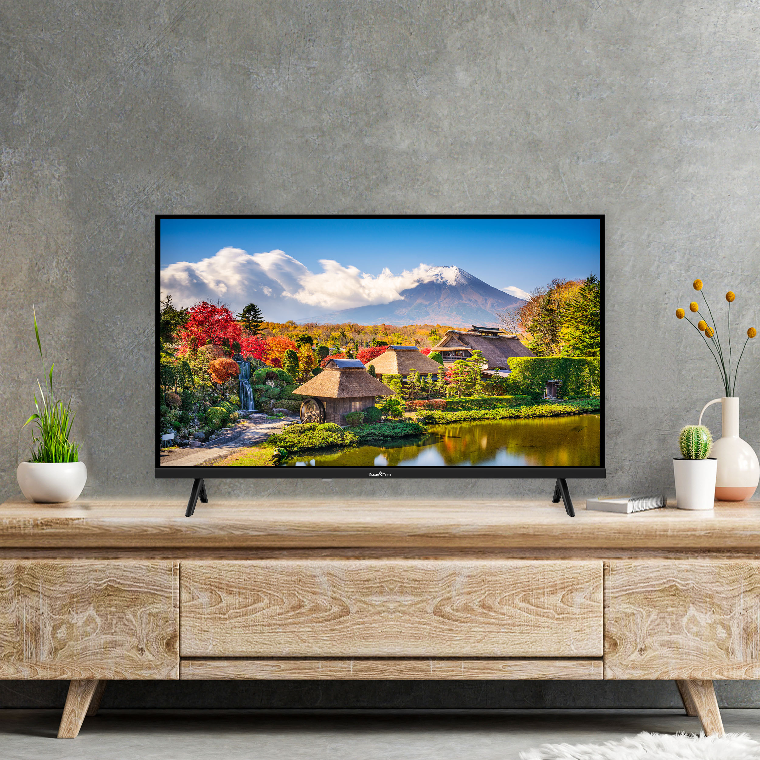 Ein Fernseher zeigt eine japanische Landschaft. Er steht auf einem Holzschrank, mit Pflanzen und einem Kaktus.