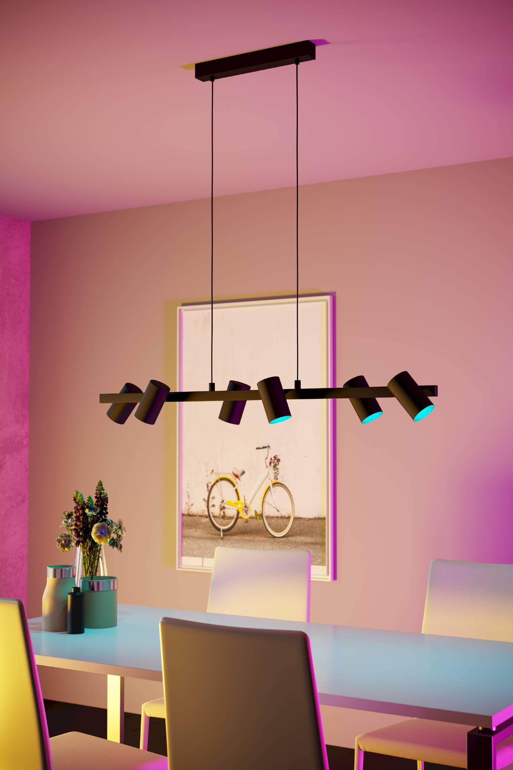 Una sala da pranzo moderna con un apparecchio di illuminazione nero, un'immagine di una bicicletta e un tavolo con sedie.