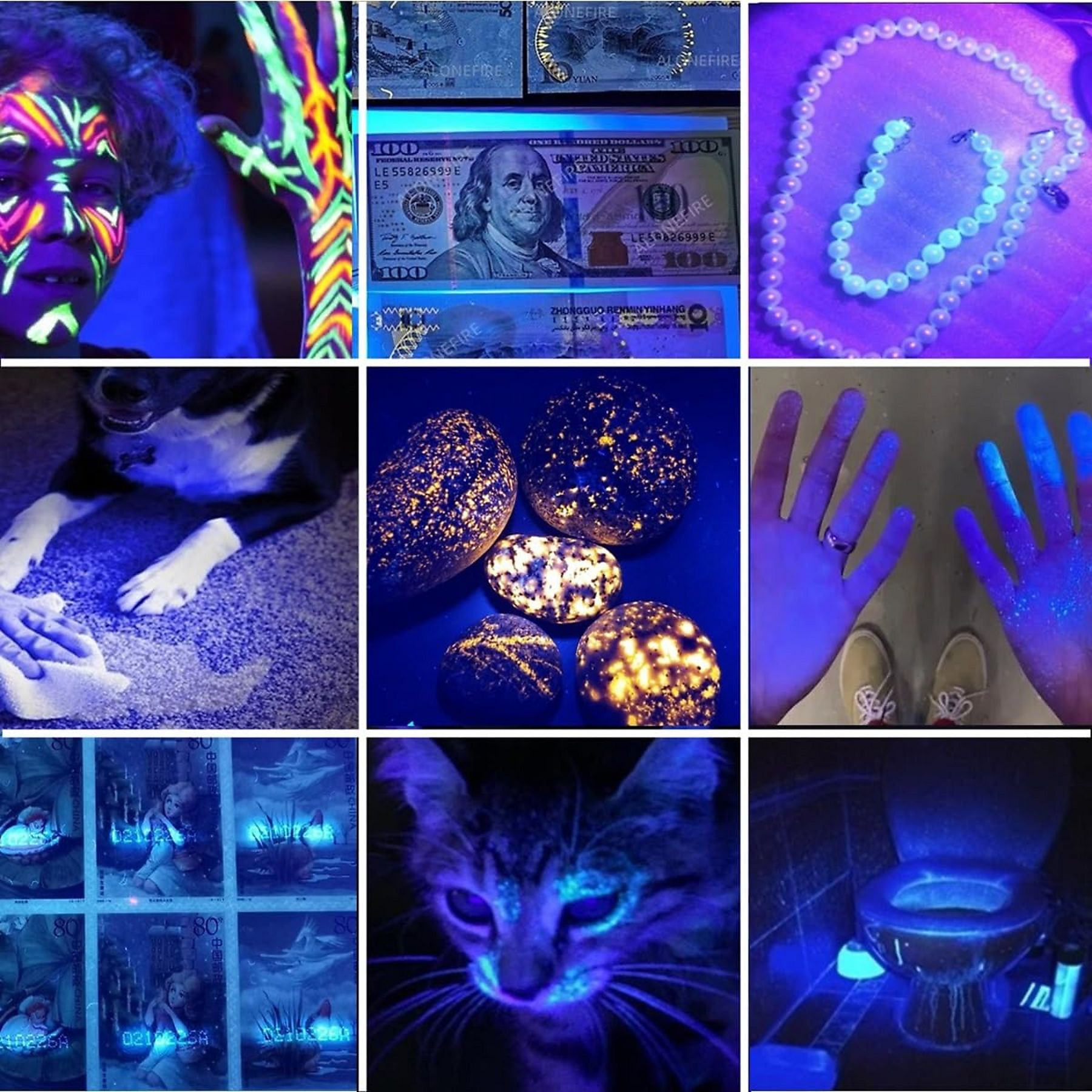 Das Bild zeigt verschiedene Gegenstände unter UV-Licht: Gesichtsbemalung, Geld, Schmuck, einen Hund, Steine, Hände, Briefmarken, eine Katze und eine Toilette.