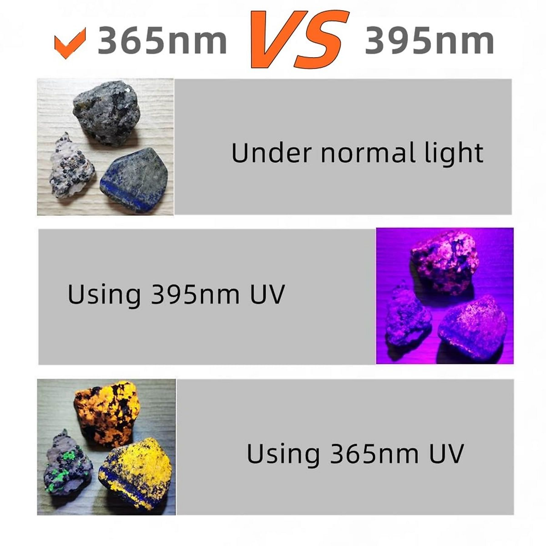 Das Bild vergleicht Gesteine unter normalem, 395nm UV- und 365nm UV-Licht. Farben variieren: grau, lila, gelb und grün.