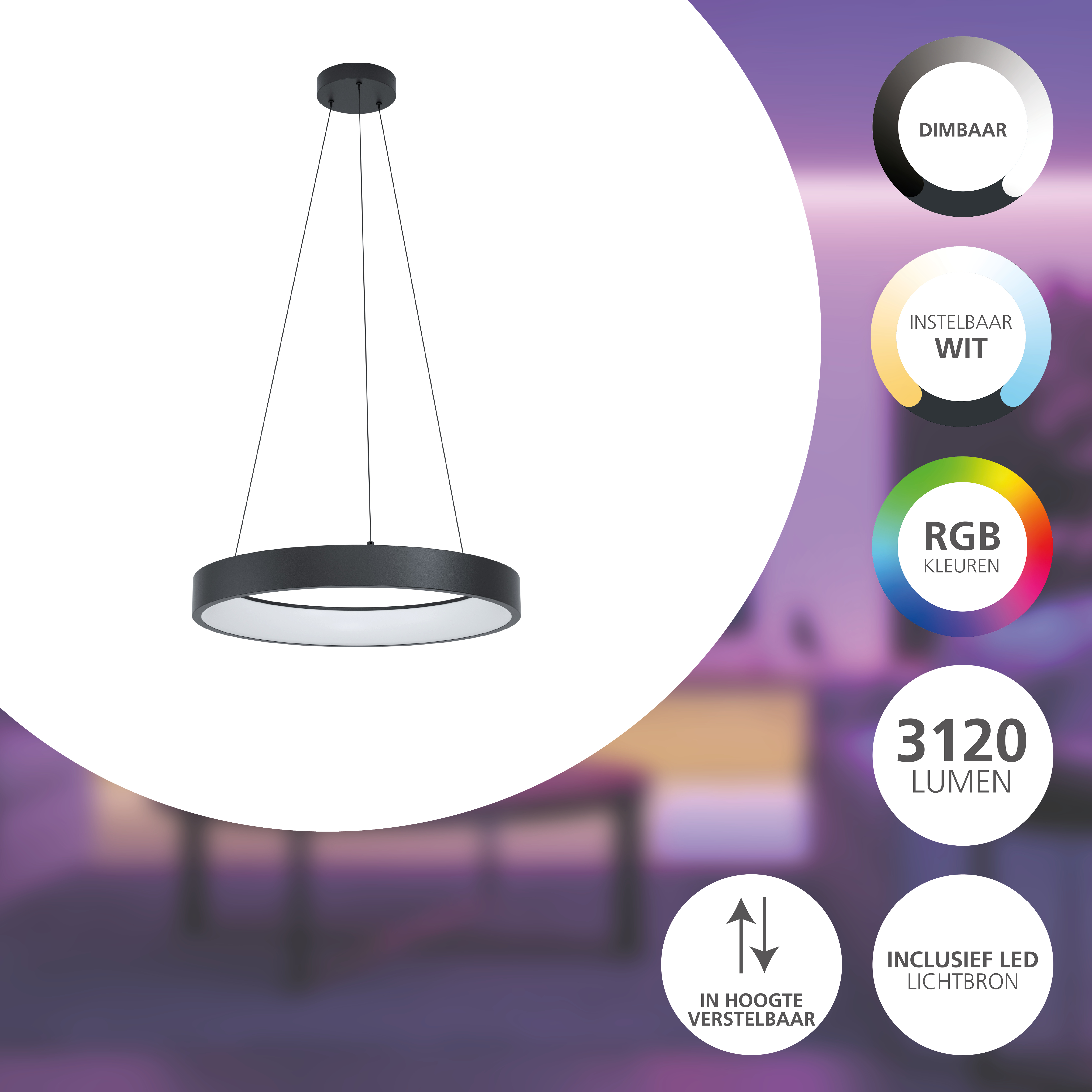 Eine moderne, kreisförmige schwarze Pendelleuchte. Der Hintergrund zeigt Informationen über Dimmen, weißes Licht und RGB-Farben.