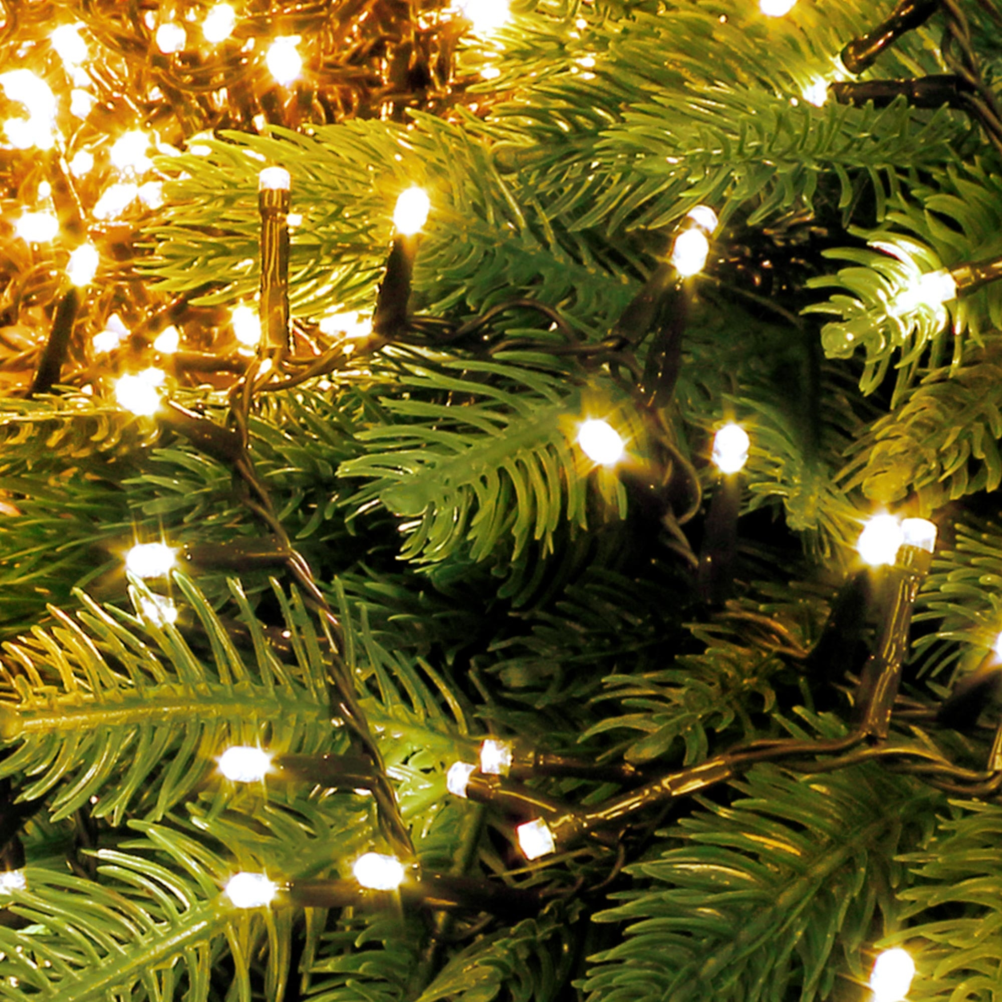 Nahaufnahme eines Weihnachtsbaums mit hellweißen Lichtern. Grüne Nadeln und dunkle Drähte sind sichtbar.