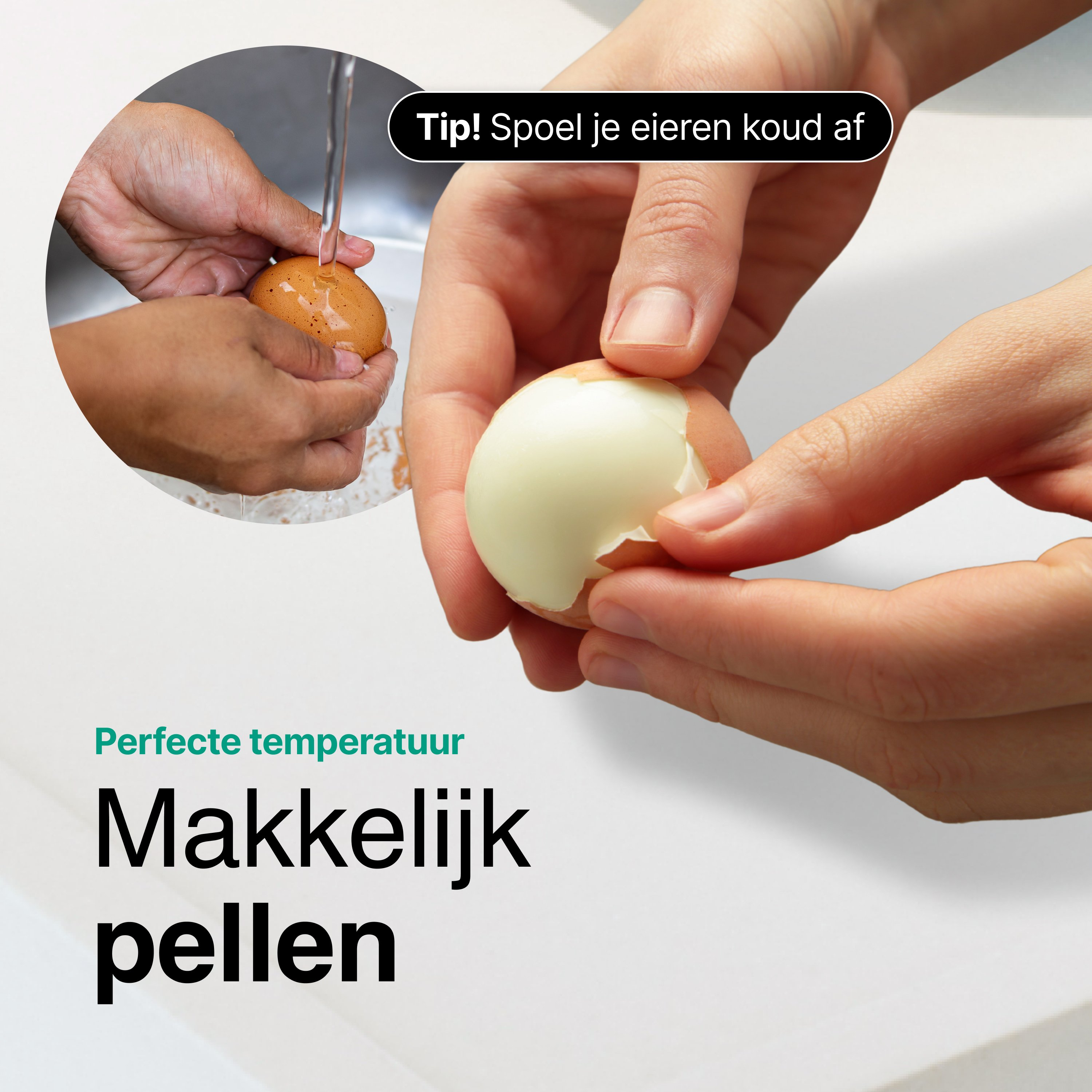 Hands peeling a boiled egg. A tip says: 'Rinse your eggs cold'. Text: 'Easy to peel'.