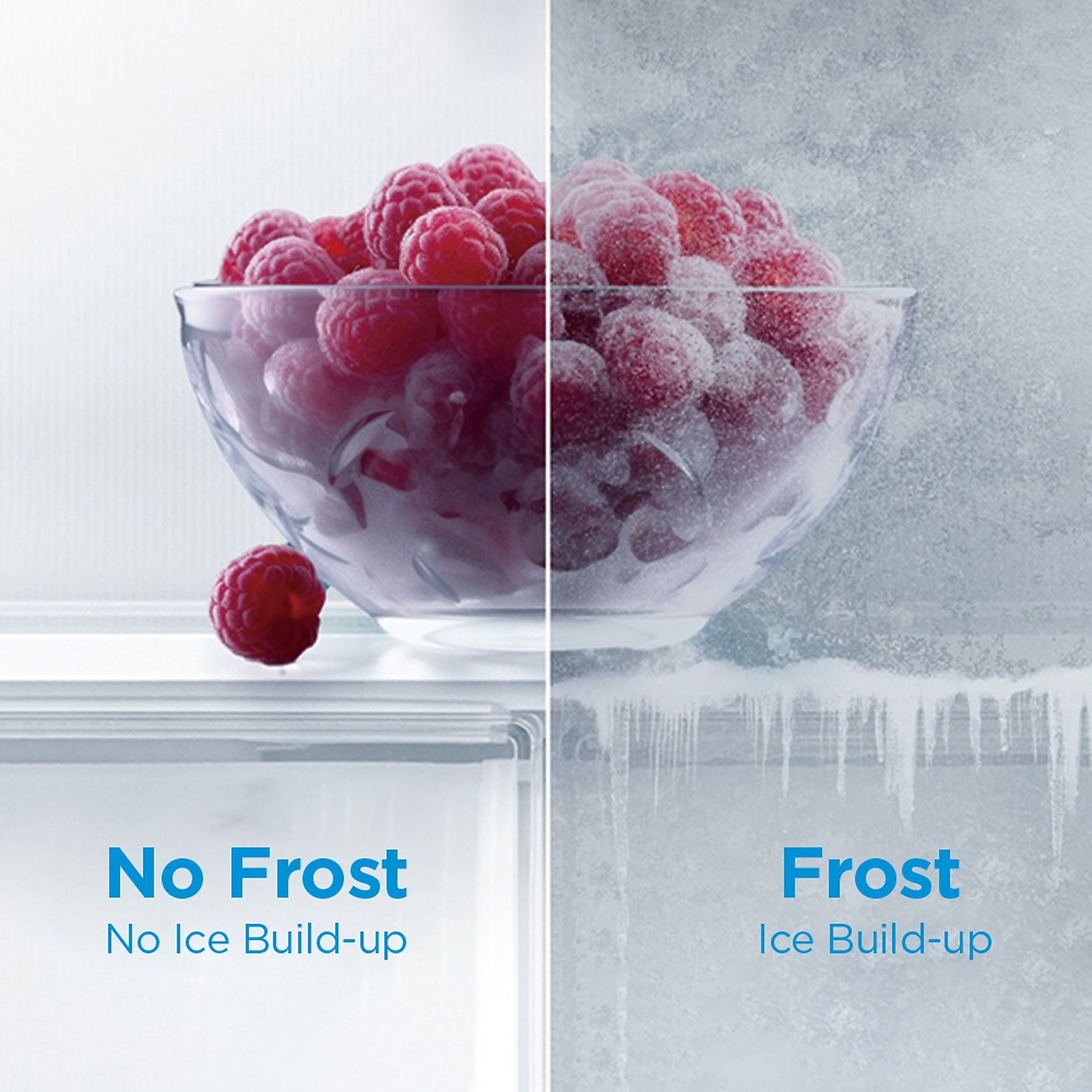 L'immagine mostra due ciotole di lamponi, una fresca e una glassata. Il testo indica 'No Frost' e 'Frost' con descrizioni.