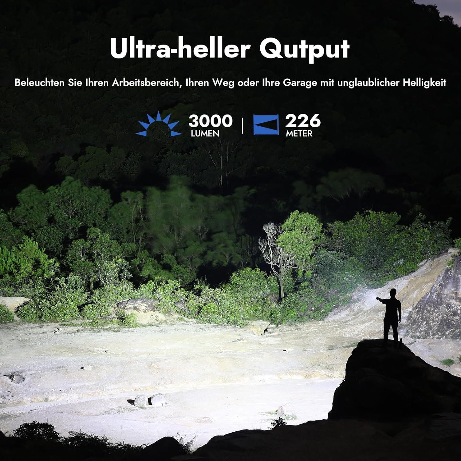 Eine Silhouette beleuchtet eine Landschaft. Die Szene umfasst einen beleuchteten Bereich, Bäume und Text zur Lichtleistung.