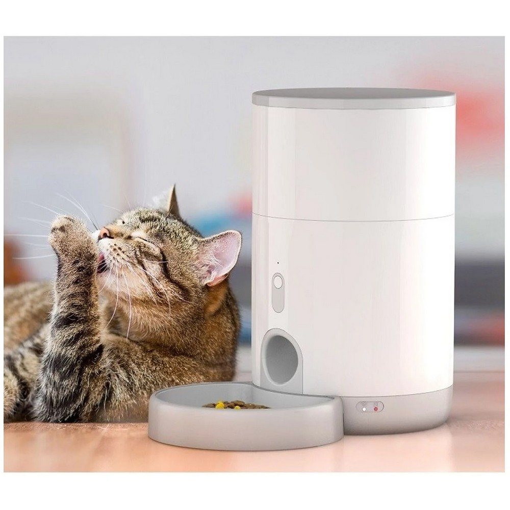 Pręgowany kot liże łapę w pobliżu białego automatycznego karmnika dla zwierząt ze miską na jedzenie. Miska zawiera karmę.