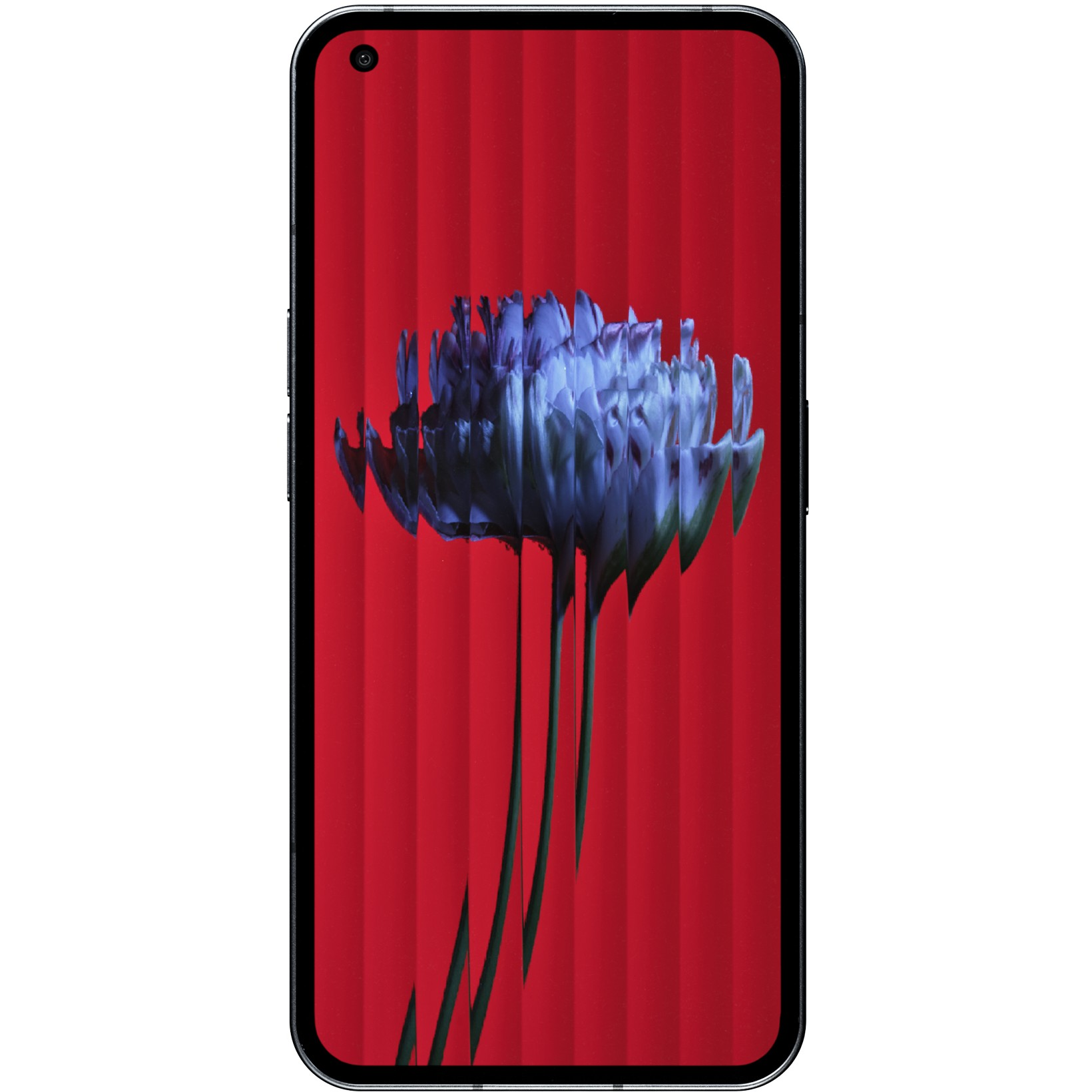 Ekran smartfona z niebieskim wzorem kwiatowym na czerwonym tle. Kwiat jest podzielony.